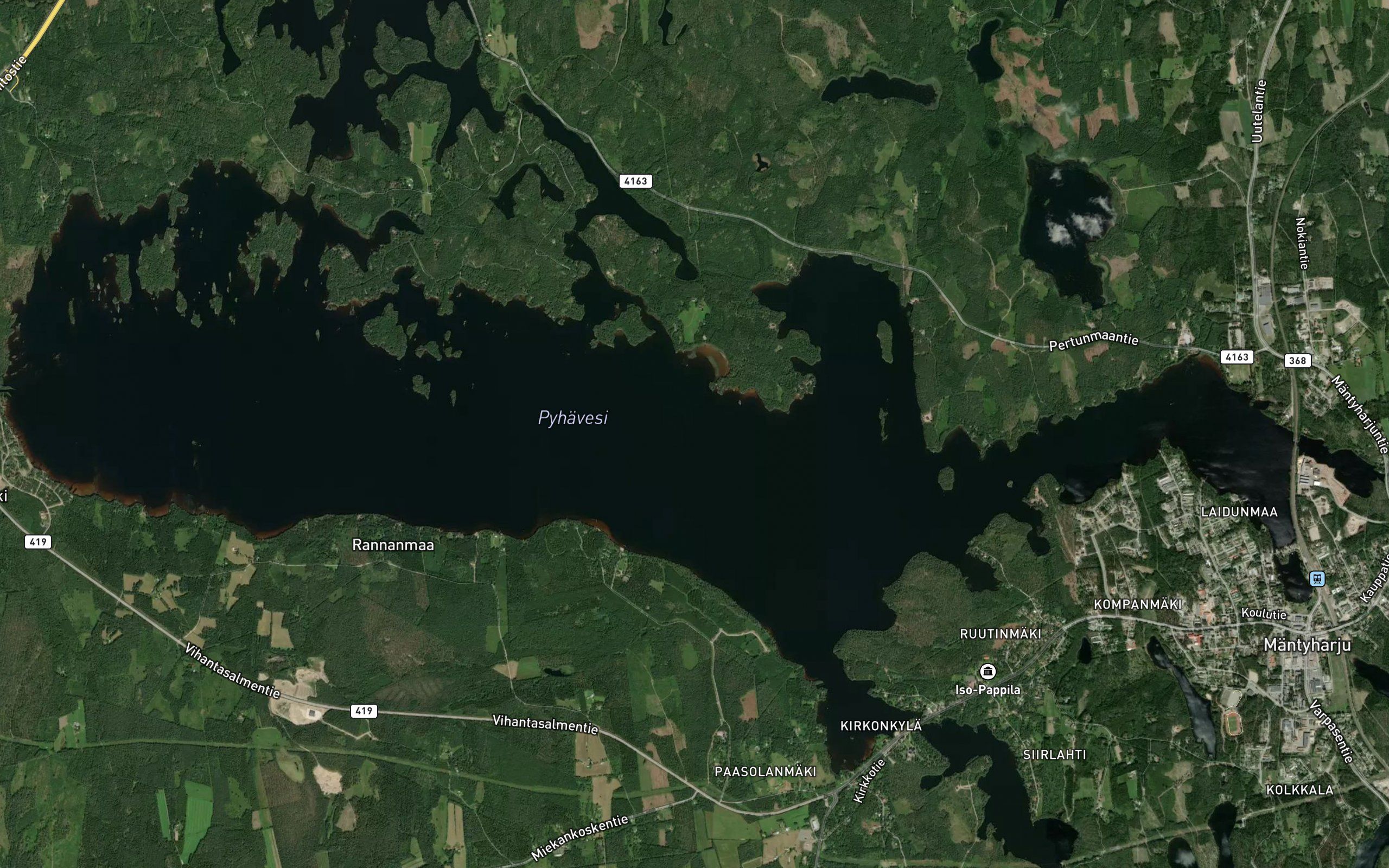 Susiviidanlahti