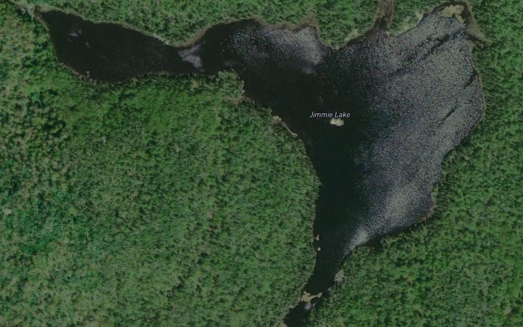 Satellite map of the Jimmie Lake
