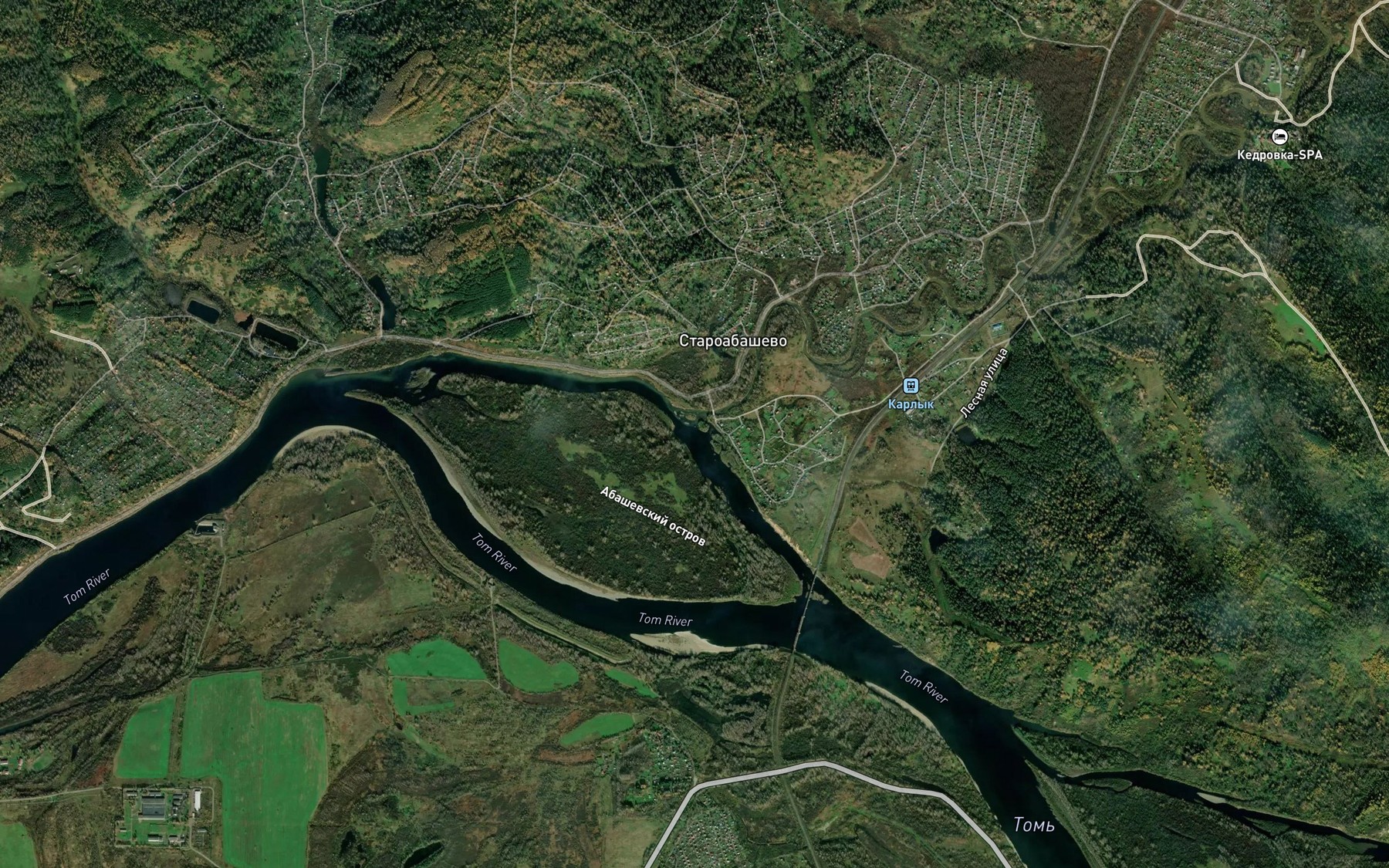 Satellite map of the Abasheva