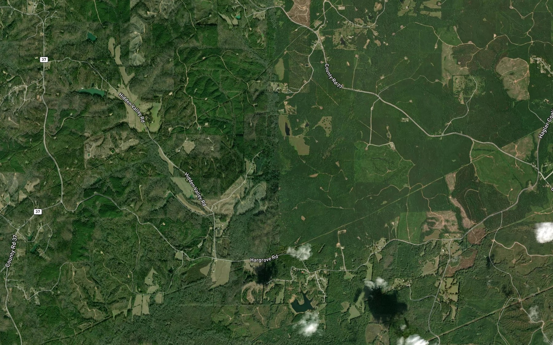 Satellite map of the Flint Branch