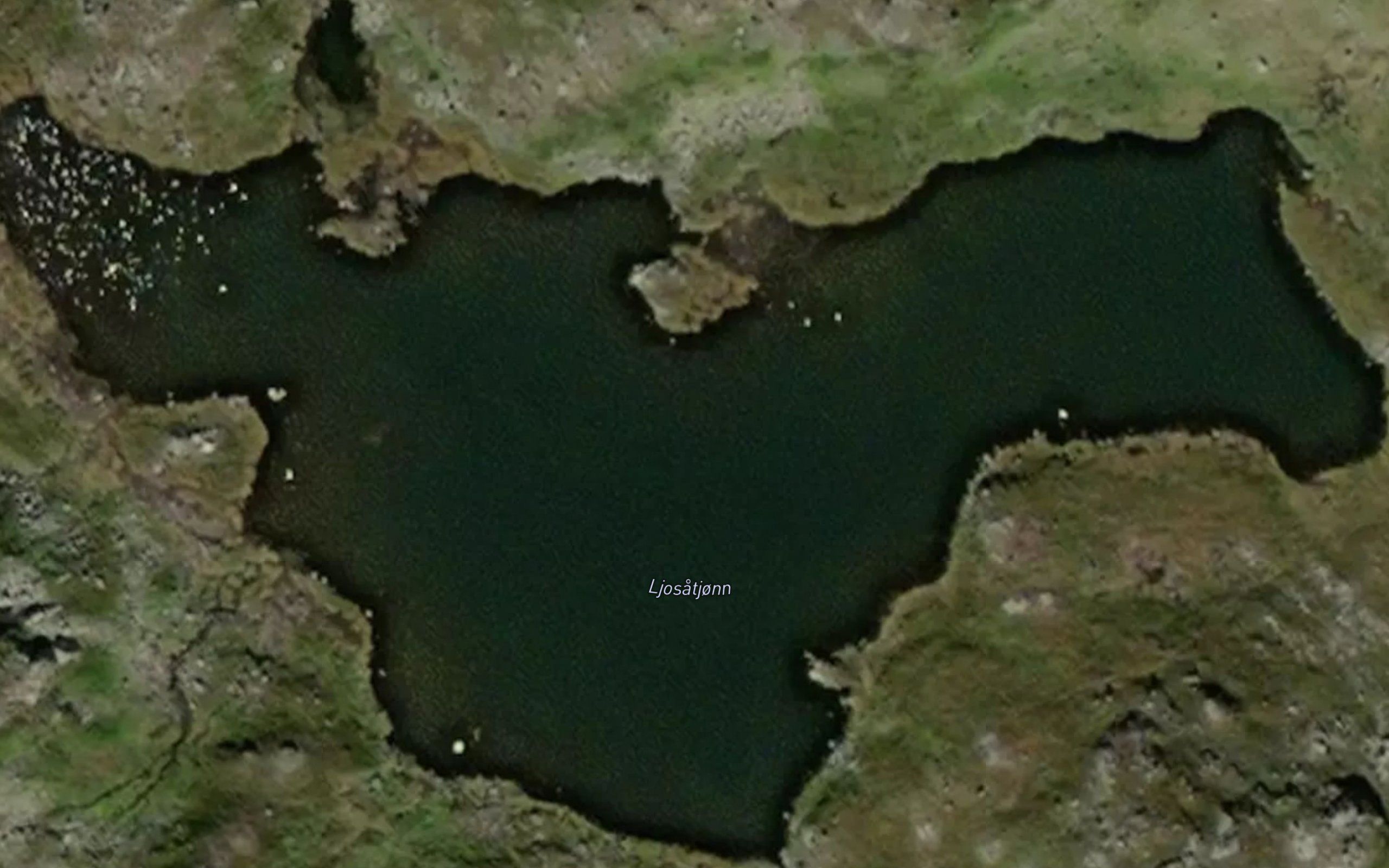 Ljosatjornane