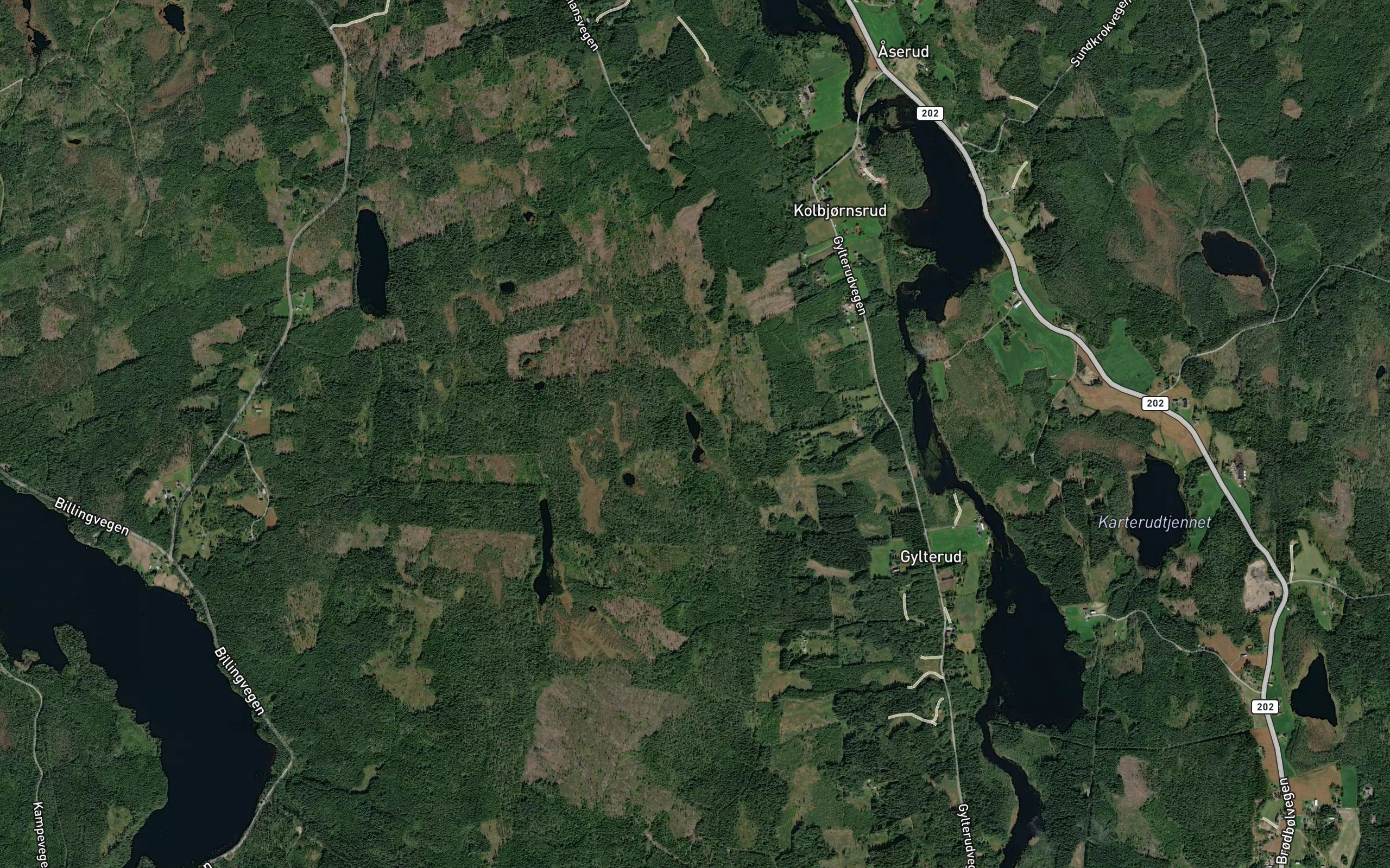 Finnlitjern