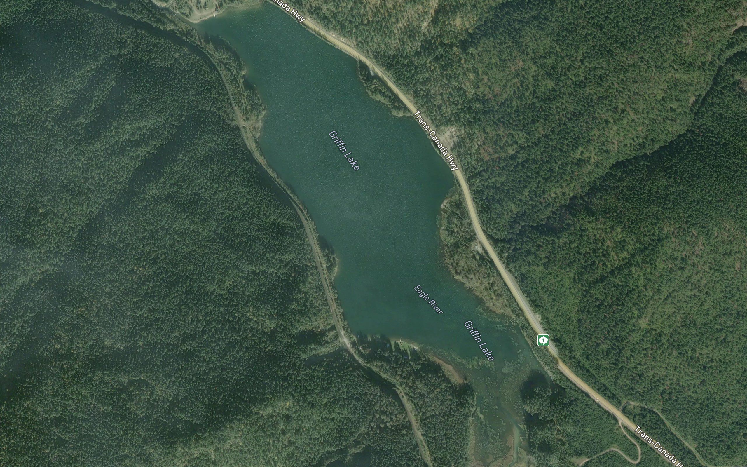 Griffin Lake