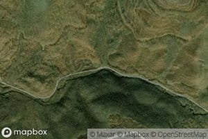 Cutlip Branch