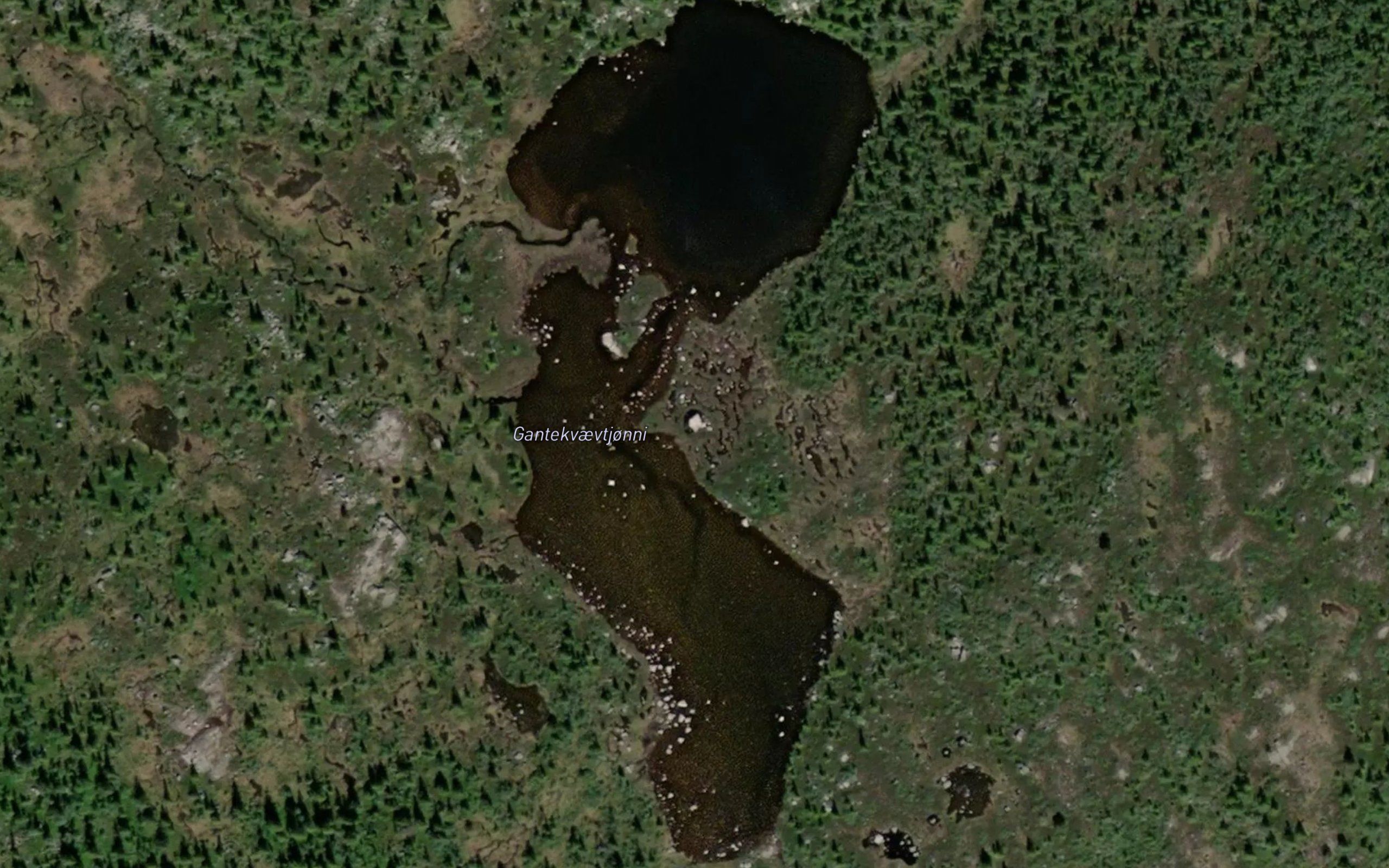 Gantekvaevtjorni