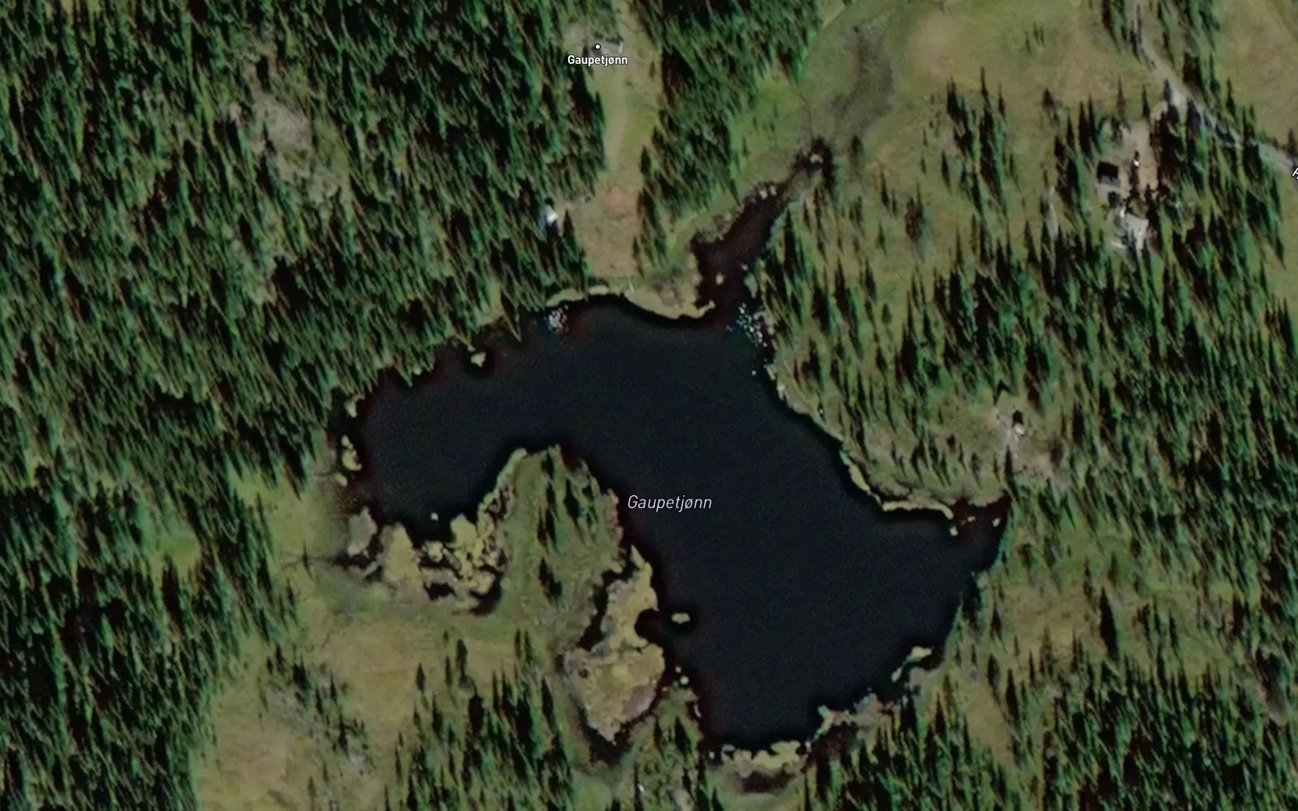 Gaupetjorn