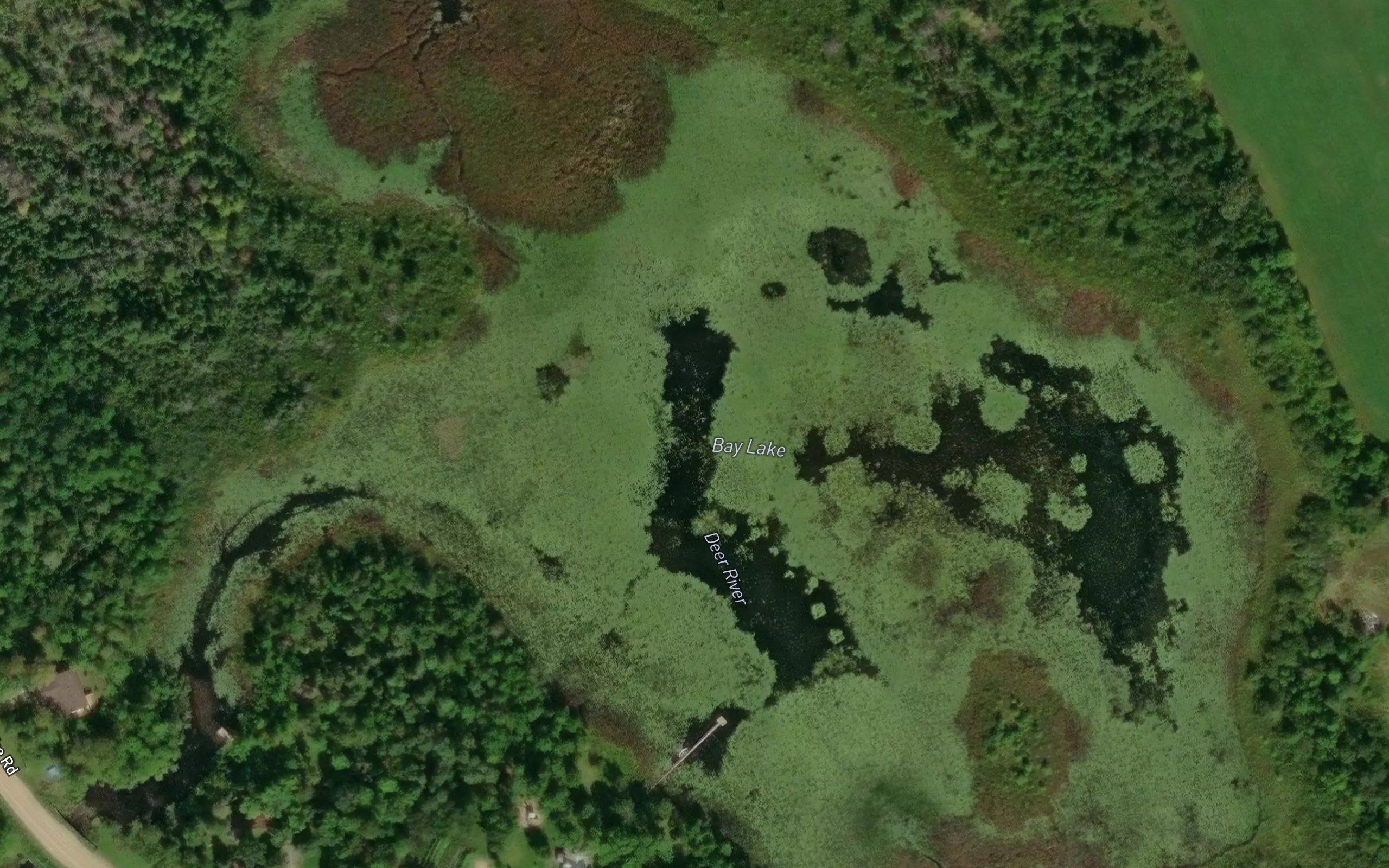 Bay Lake