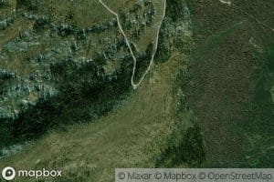 Twin Spring
