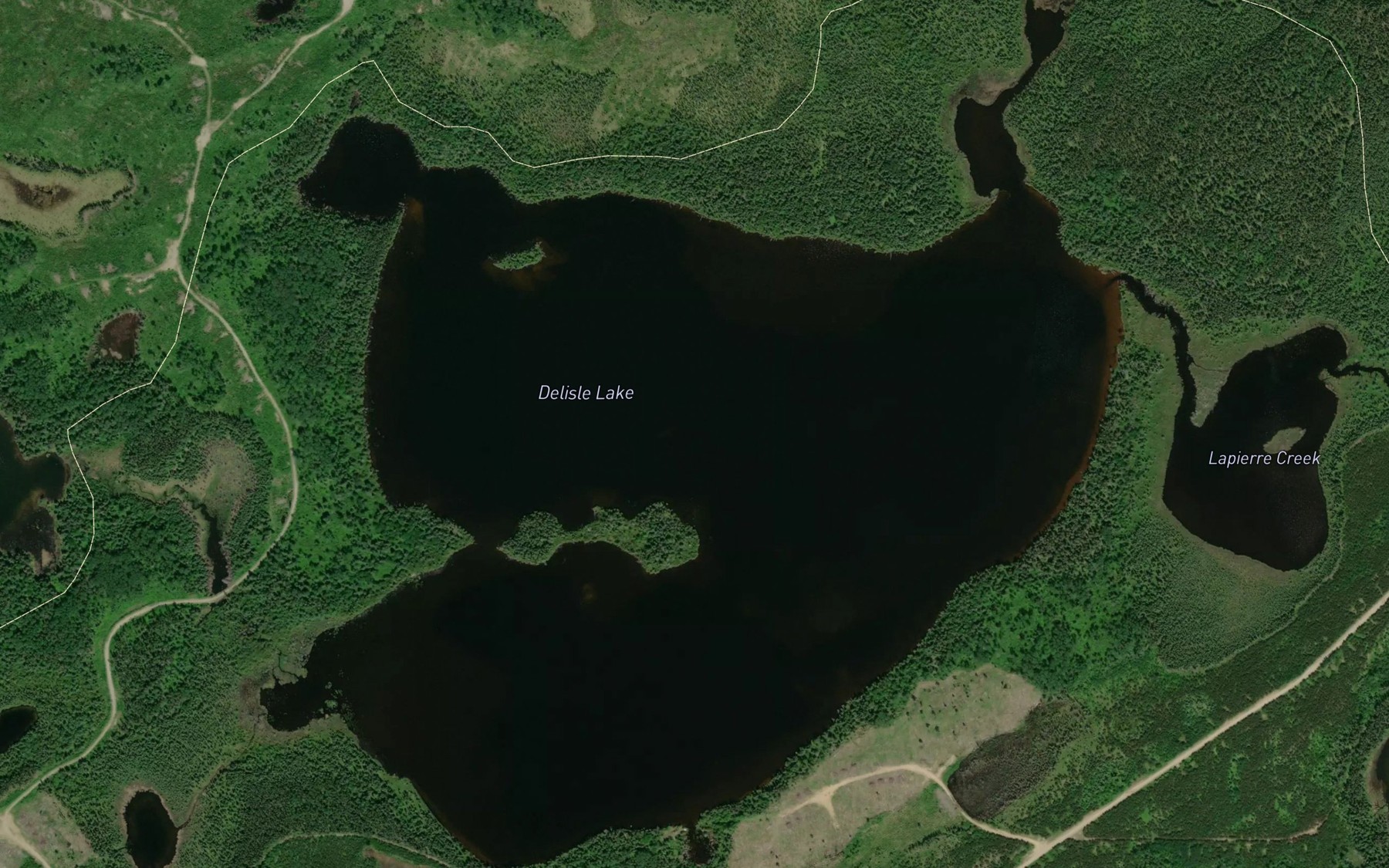 Satellite map of the Delisle Lake