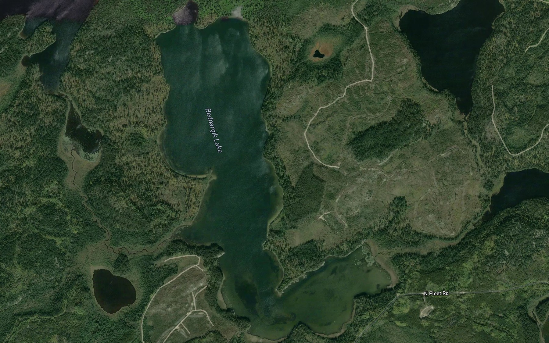 Satellite map of the Bednargik Lake