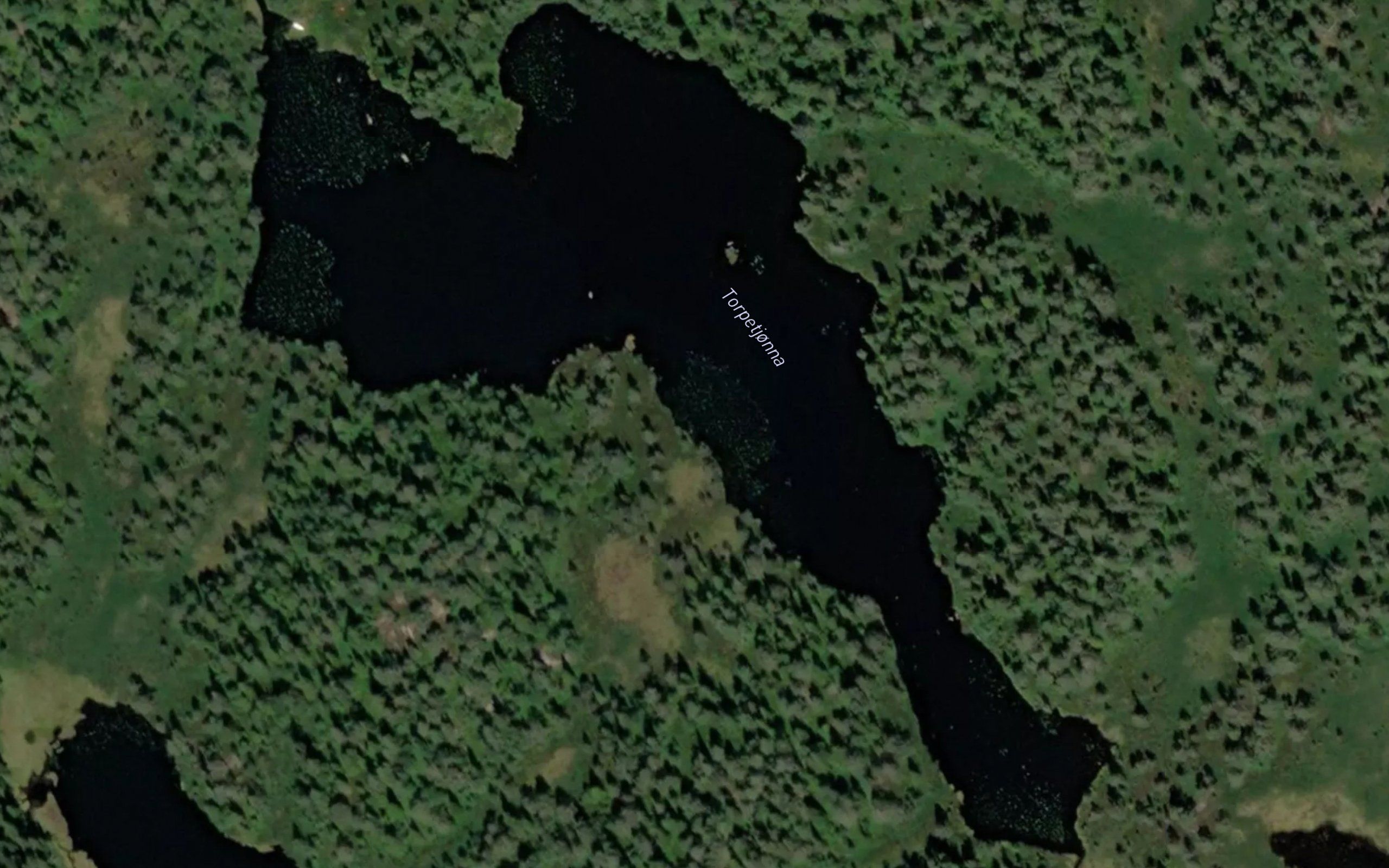 Torpetjonna