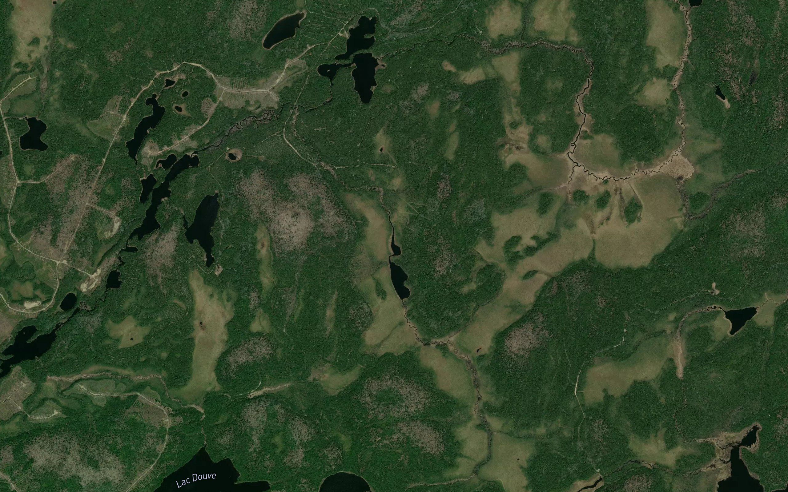 Lac Lankester