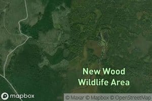 New Wood Flowage