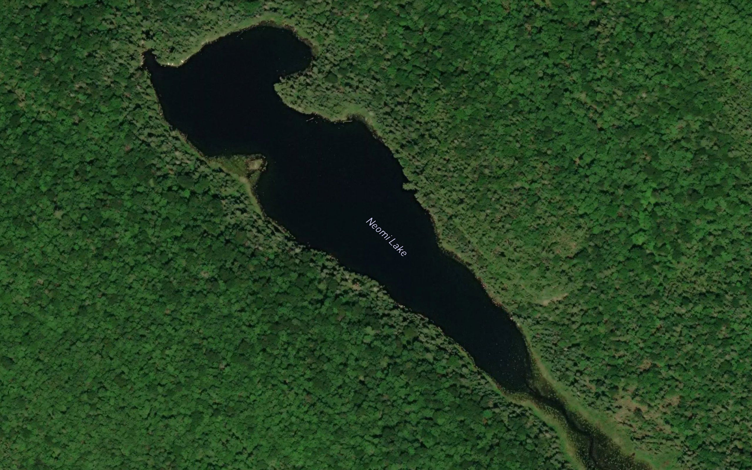 Neomi Lake