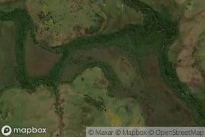 Gajodel Tacuarembo Chico