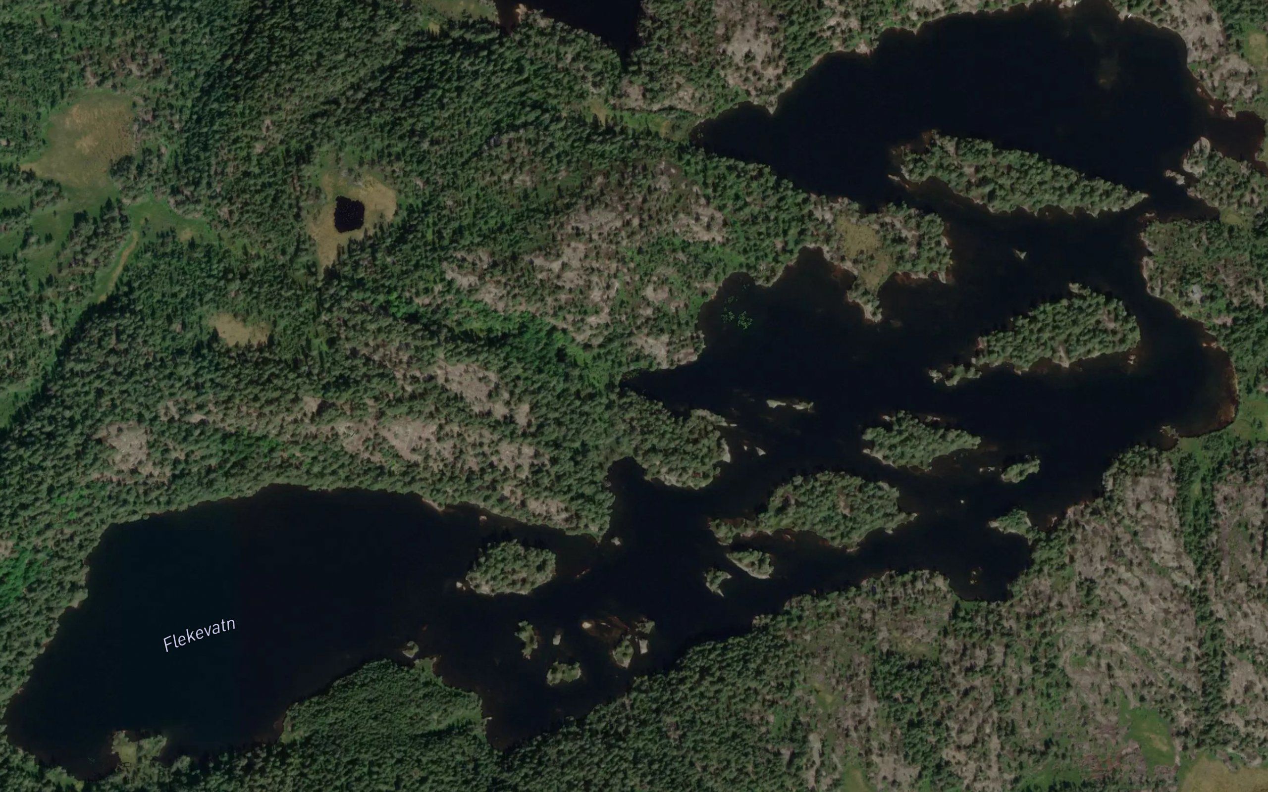 Flekevatnet