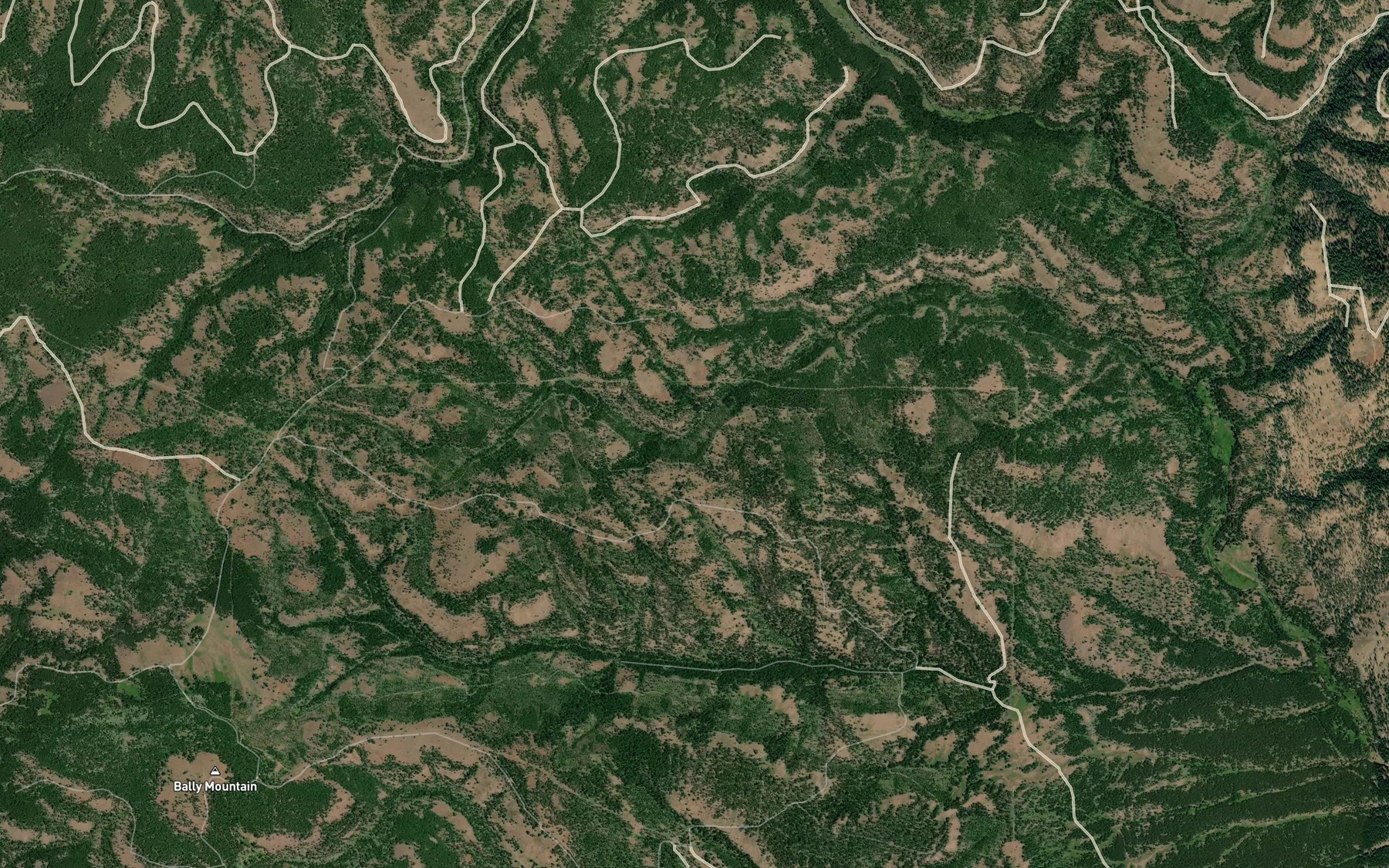 Satellite map of the Mann Spring
