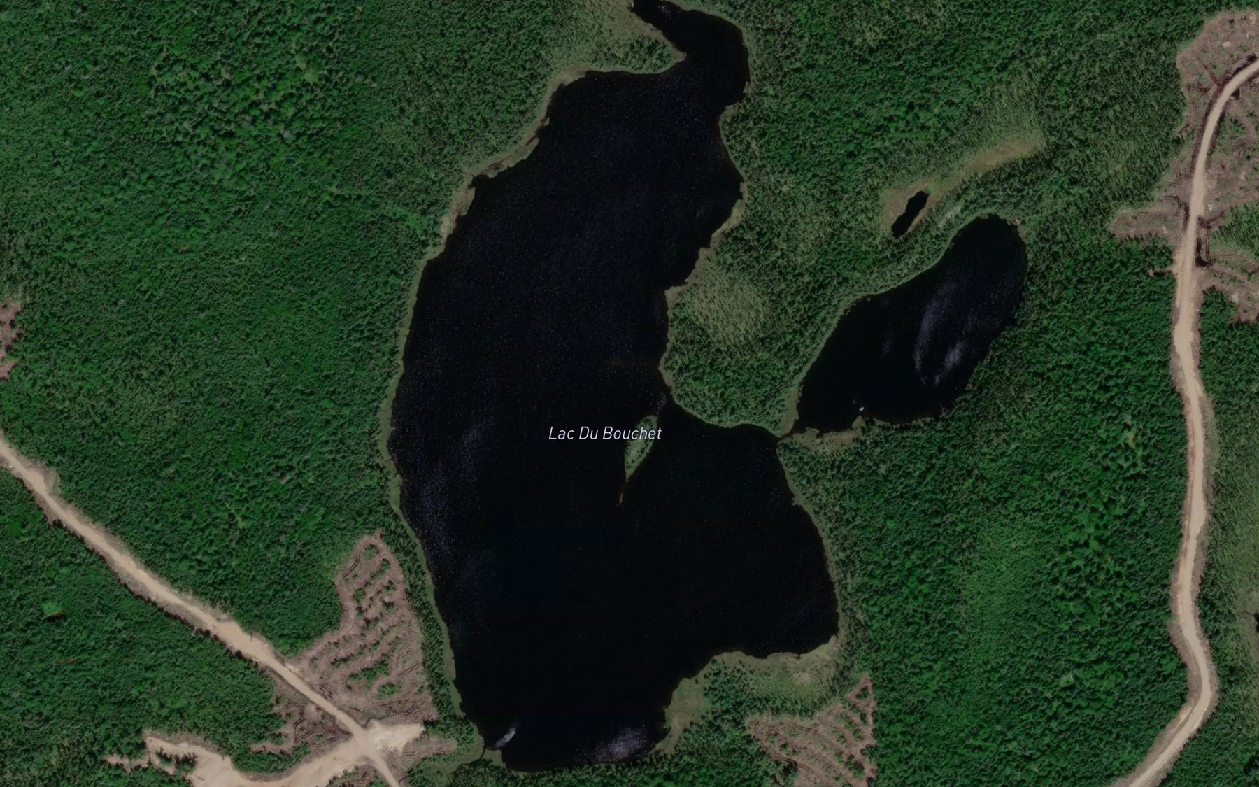 Satellite map of the Lac Du Bouchet