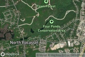 Freeman Pond