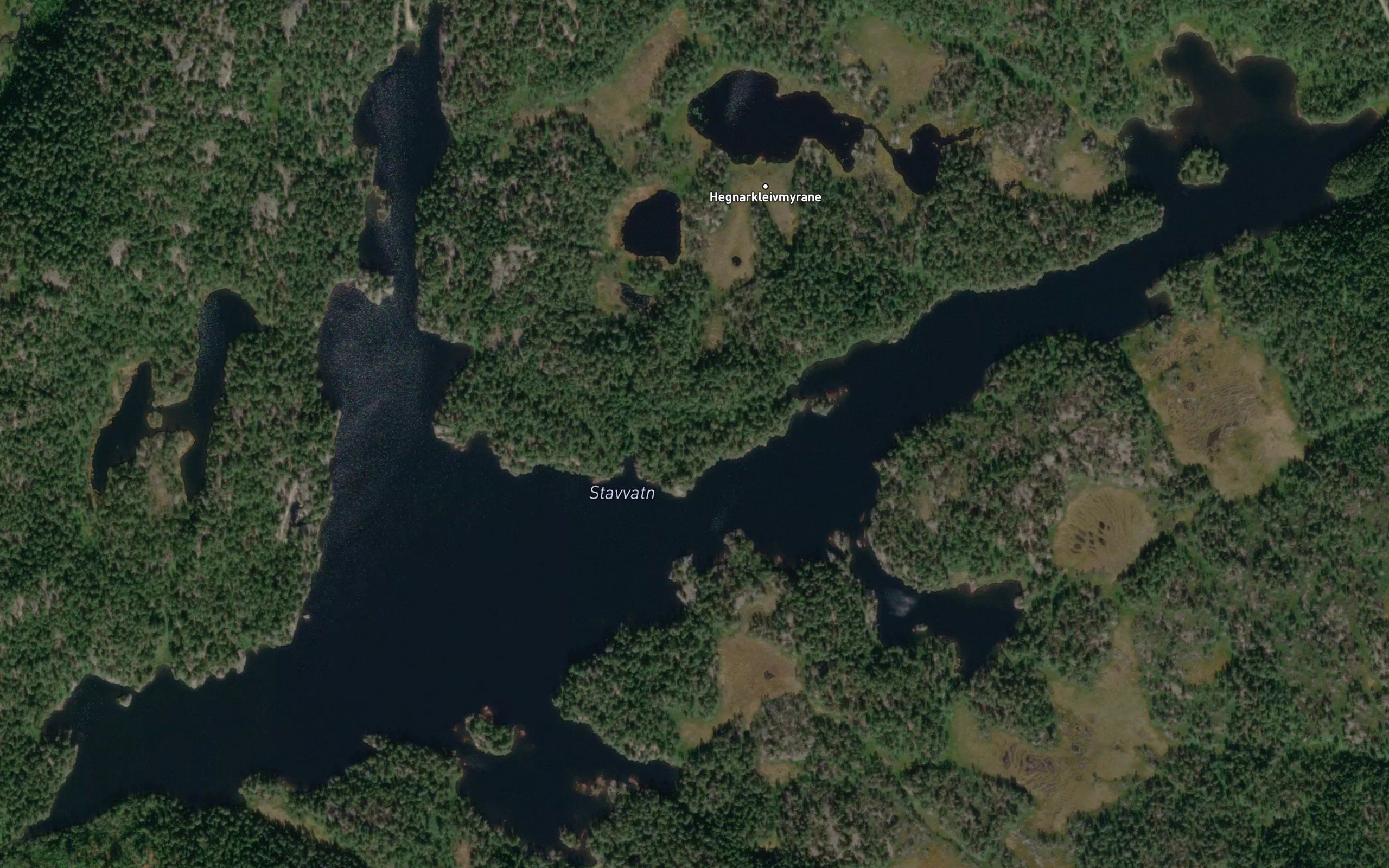 Stavvatn