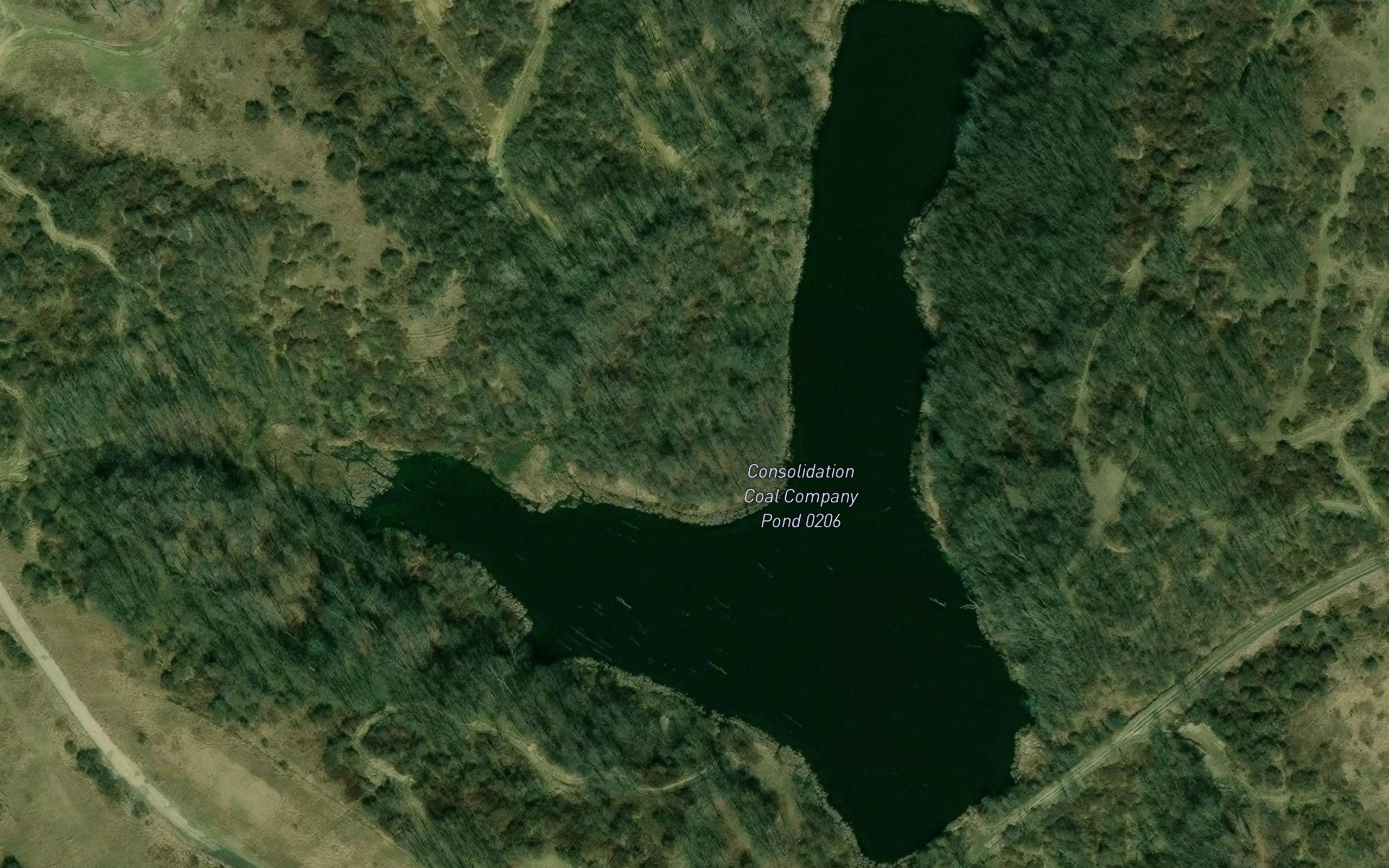 Consolidation Coal Company Pond 0206