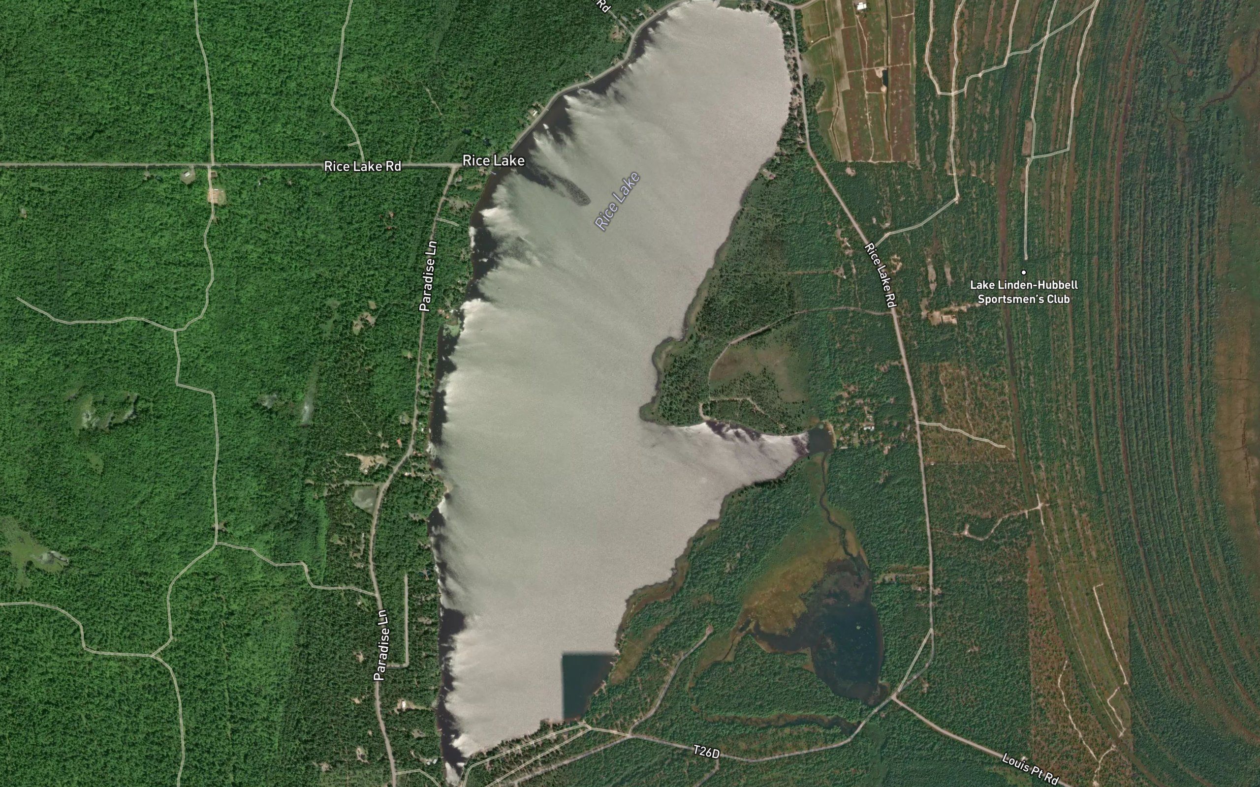 Rice Lake
