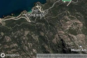 The Fisheries