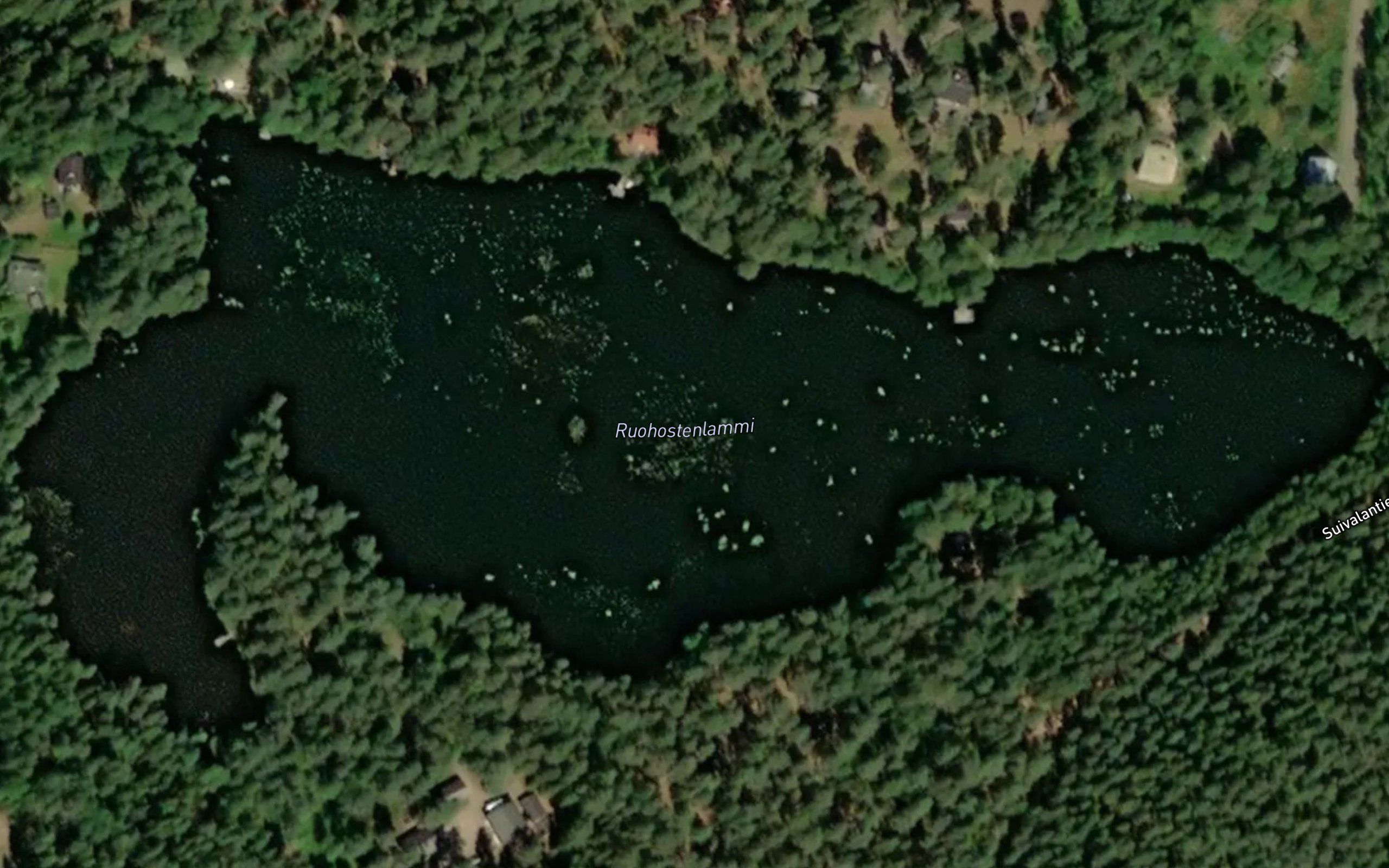 Ruohostenlammi