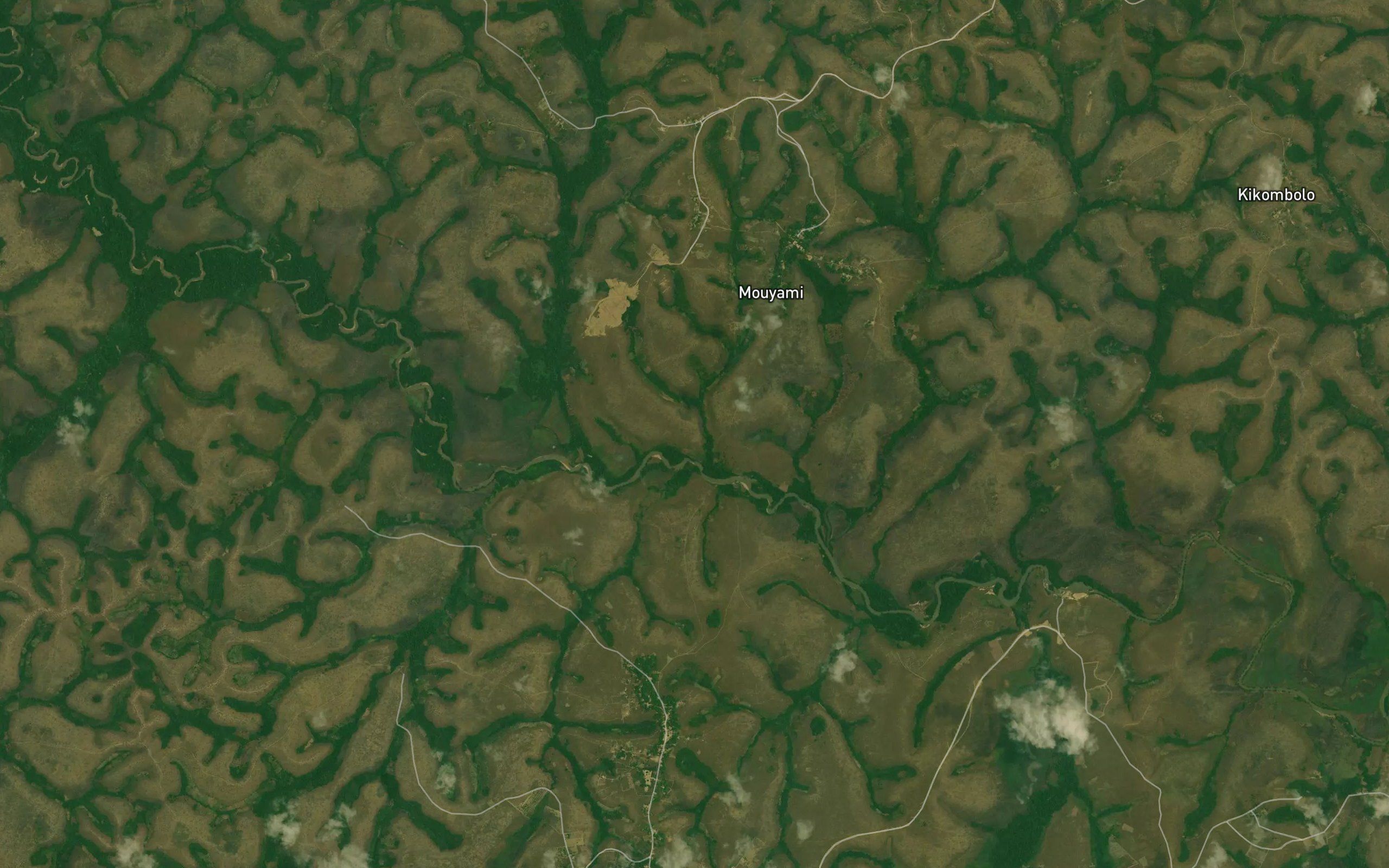 Kinnkaboka