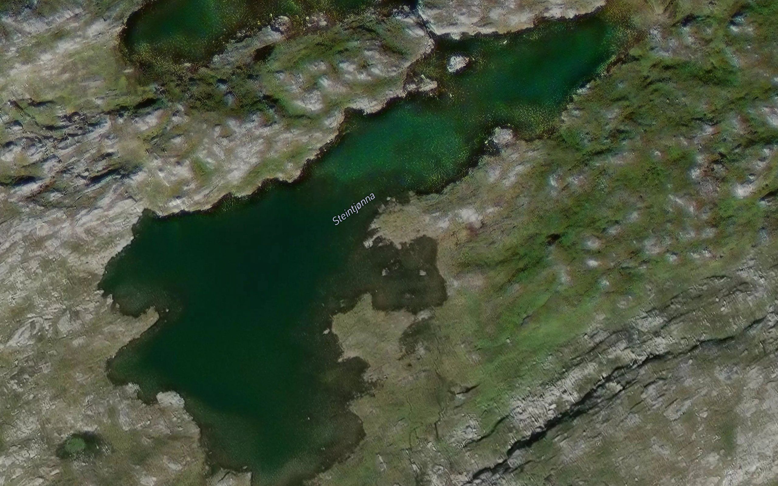 Steintjorna