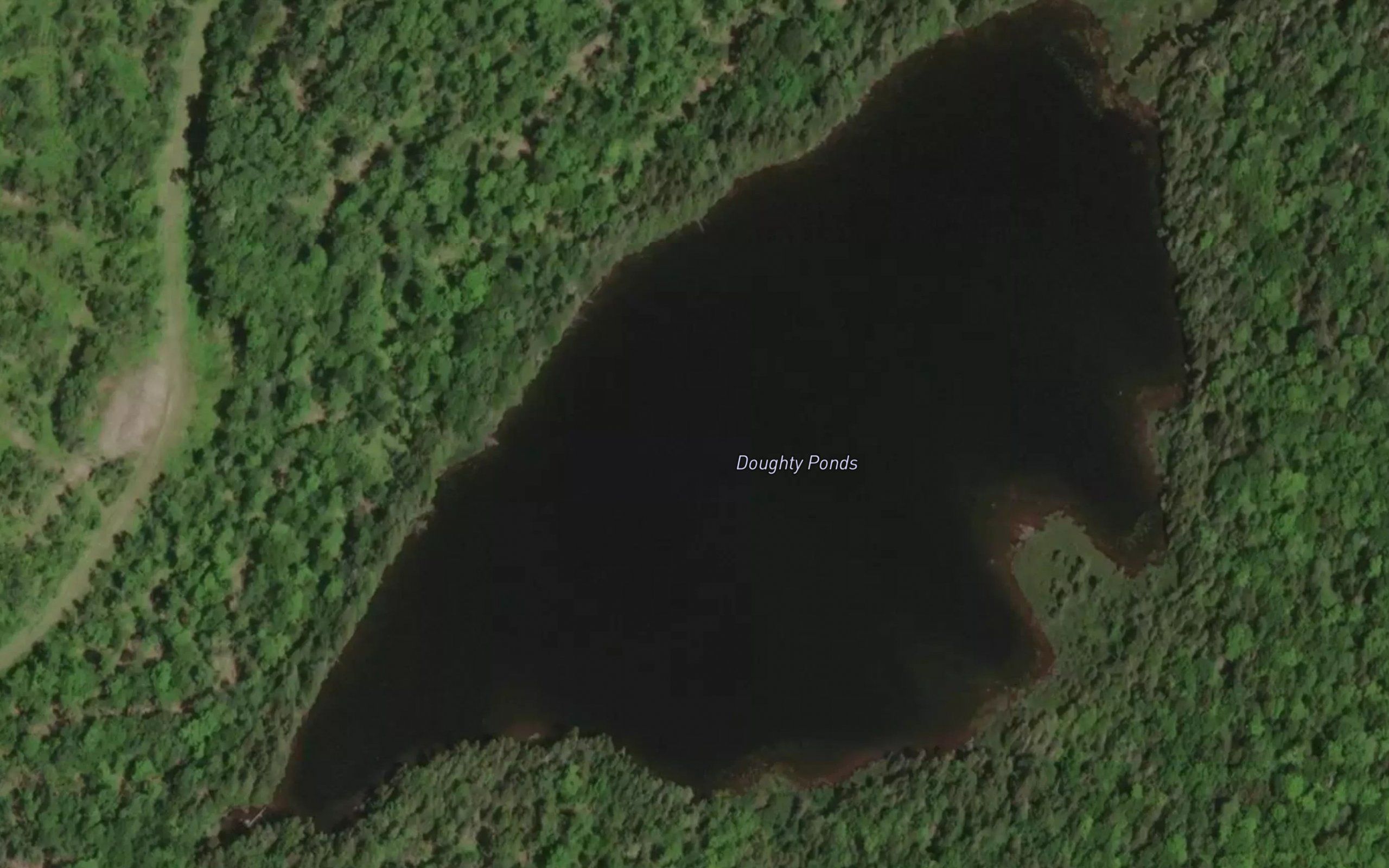 Doughty Ponds