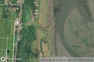 Albers Slough