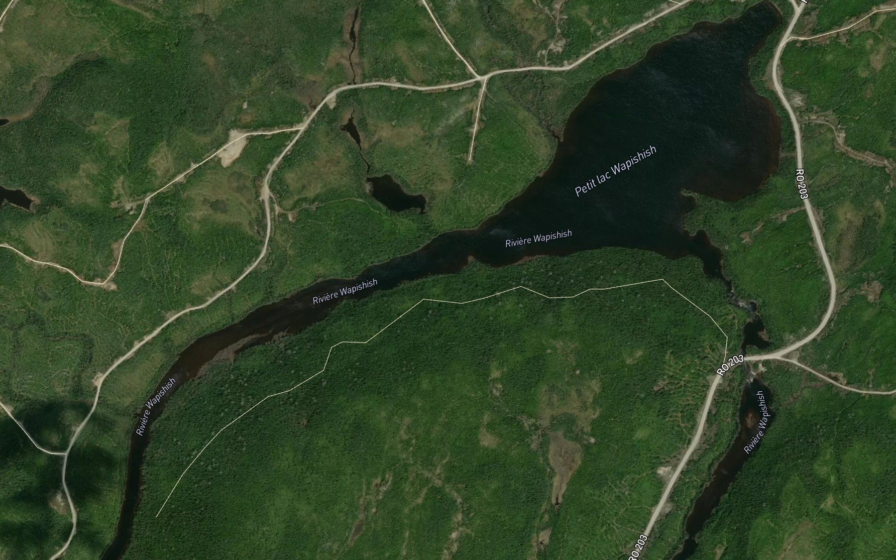 Satellite map of the Petit lac Wapishish