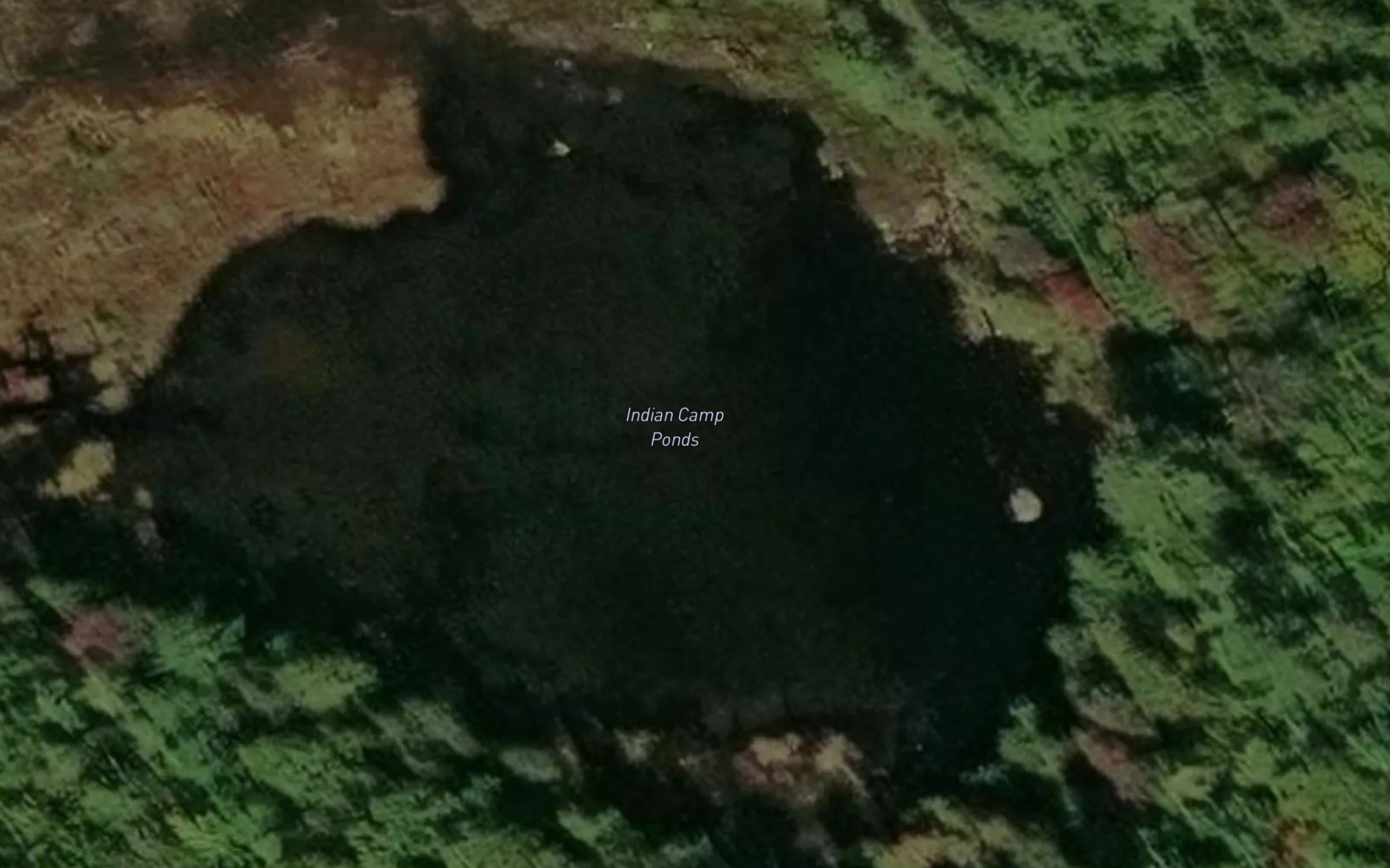 Indian Camp Ponds