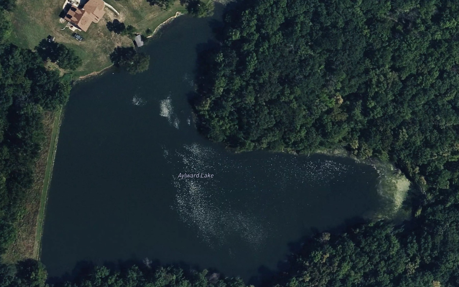 Satellite map of the Aylward Lake