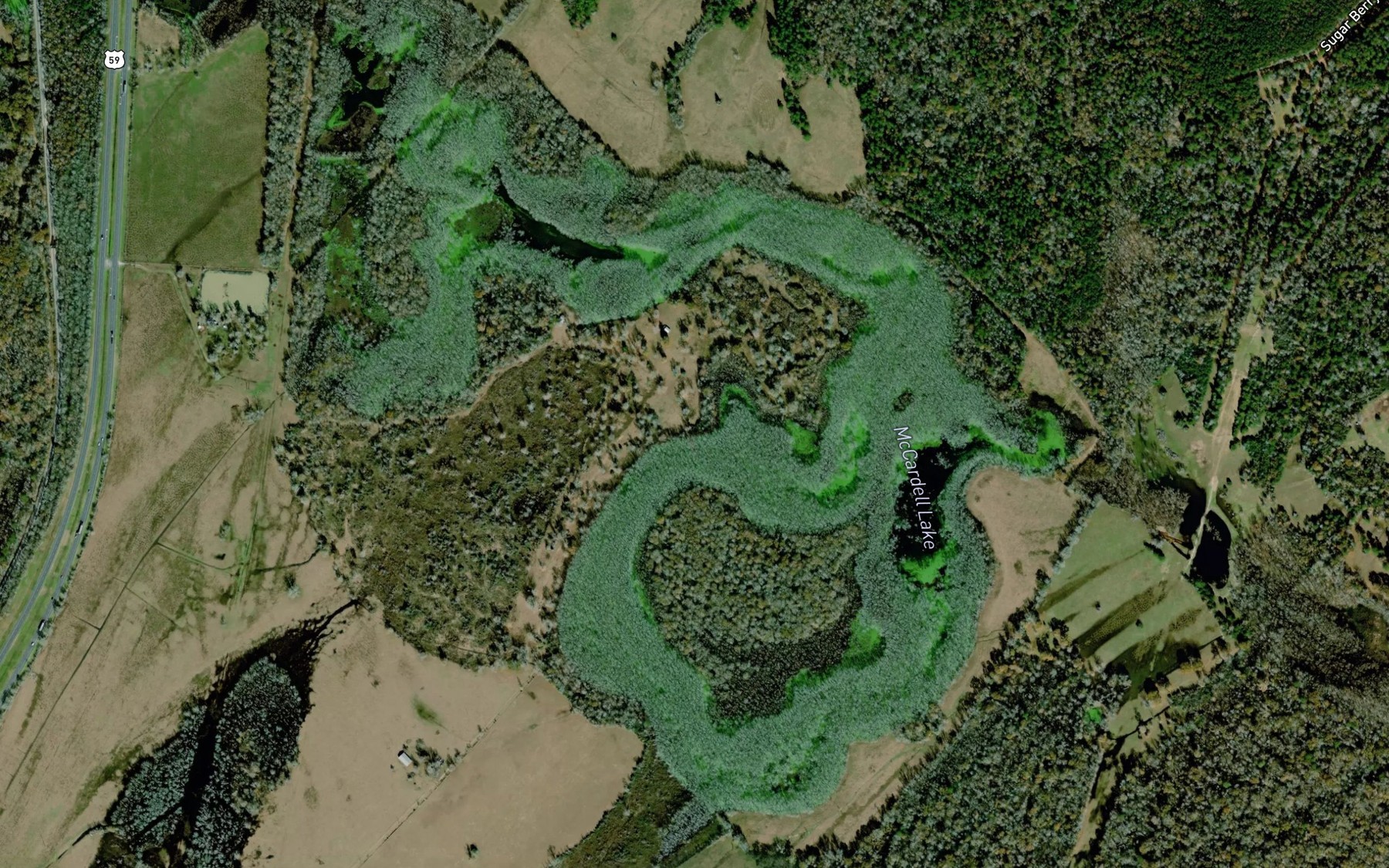 Satellite map of the McCardell Lake