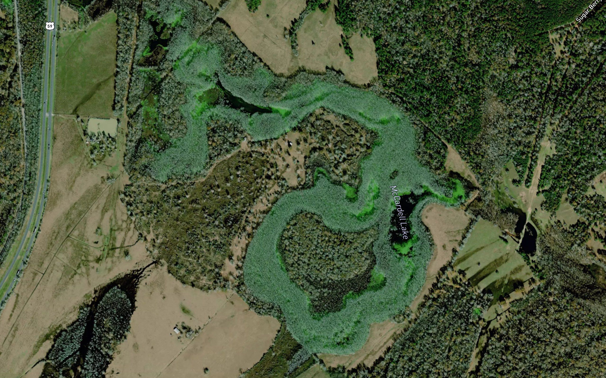 McCardell Lake