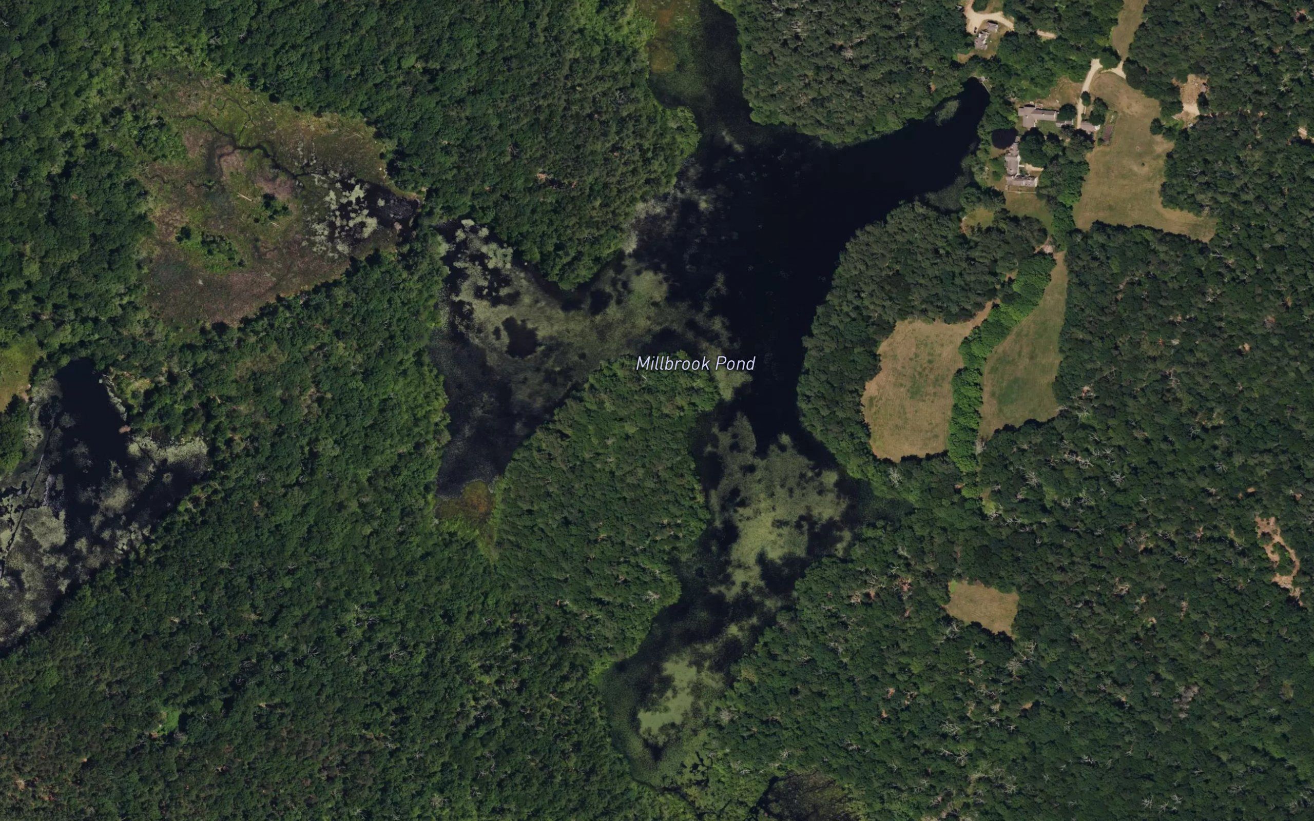 Millbrook Pond