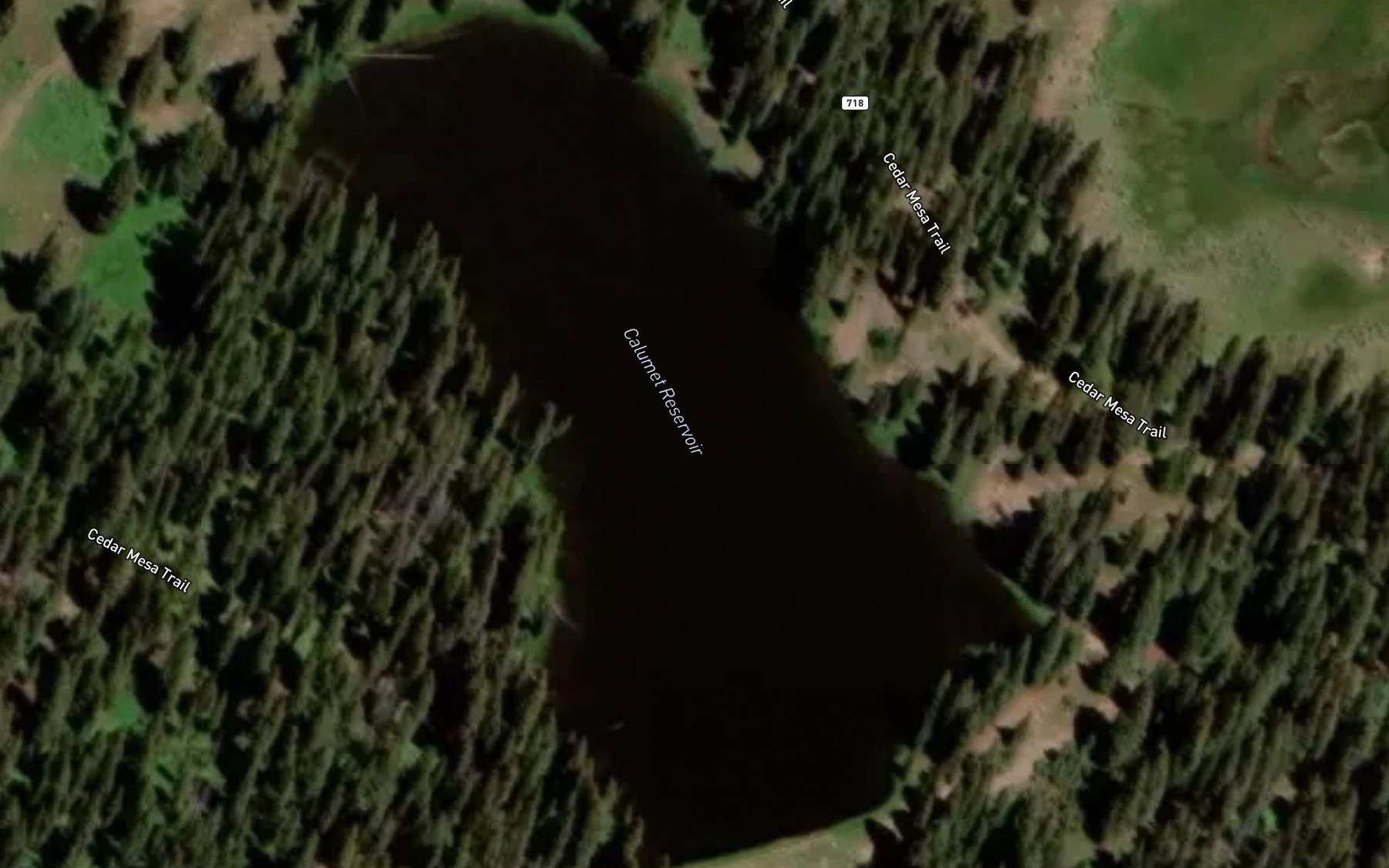 Satellite map of the Calumet Reservoir