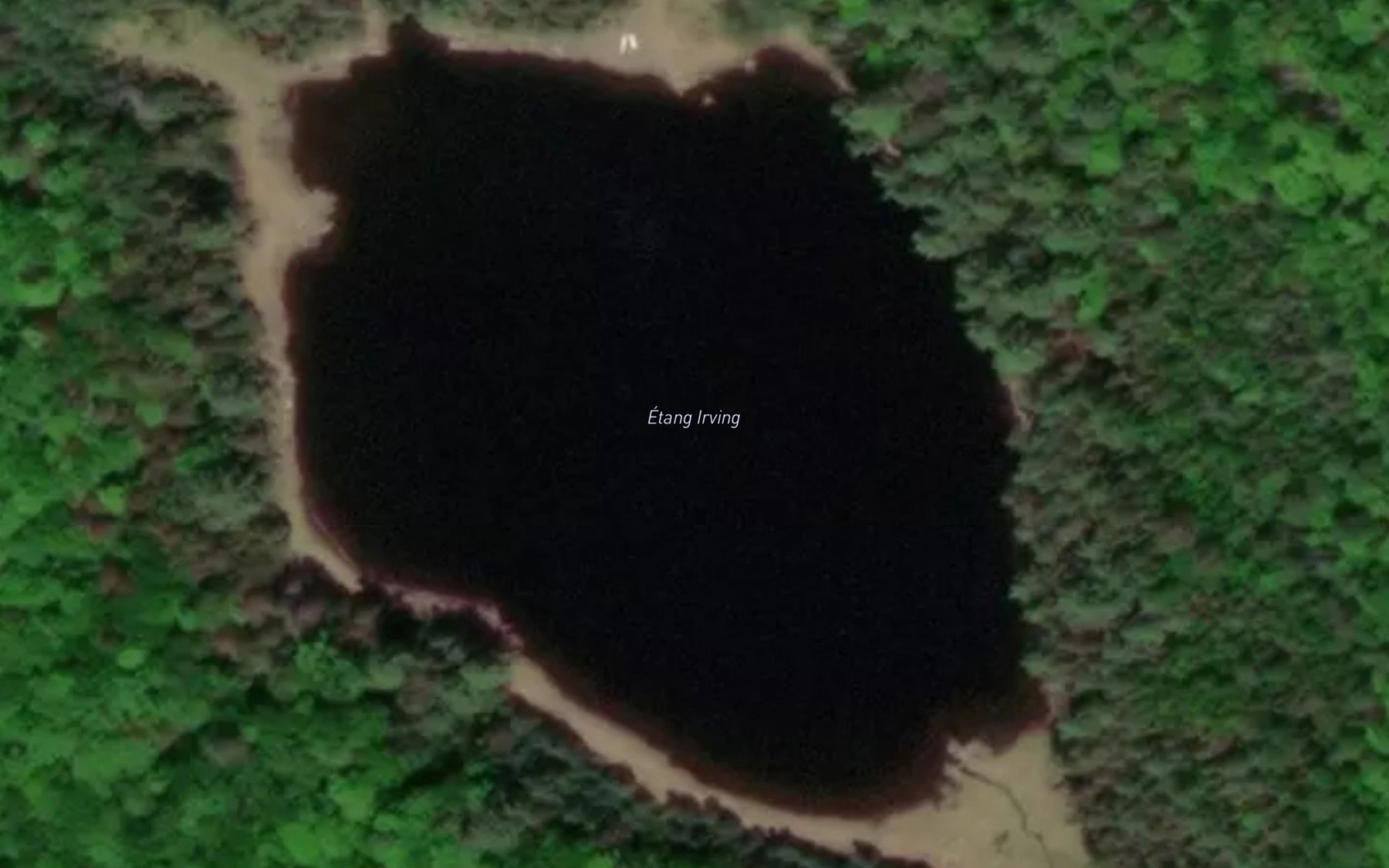 Satellite map of the Etang Irving