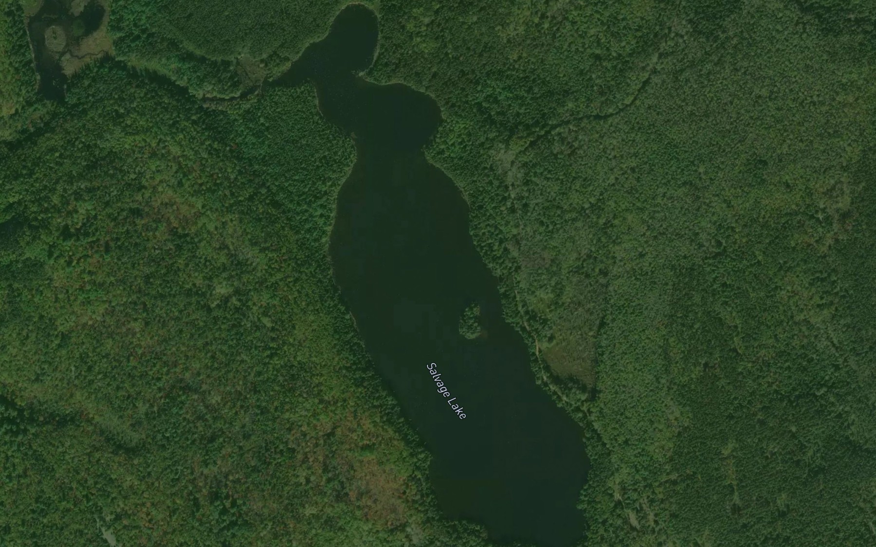 Satellite map of the Salvage Lake