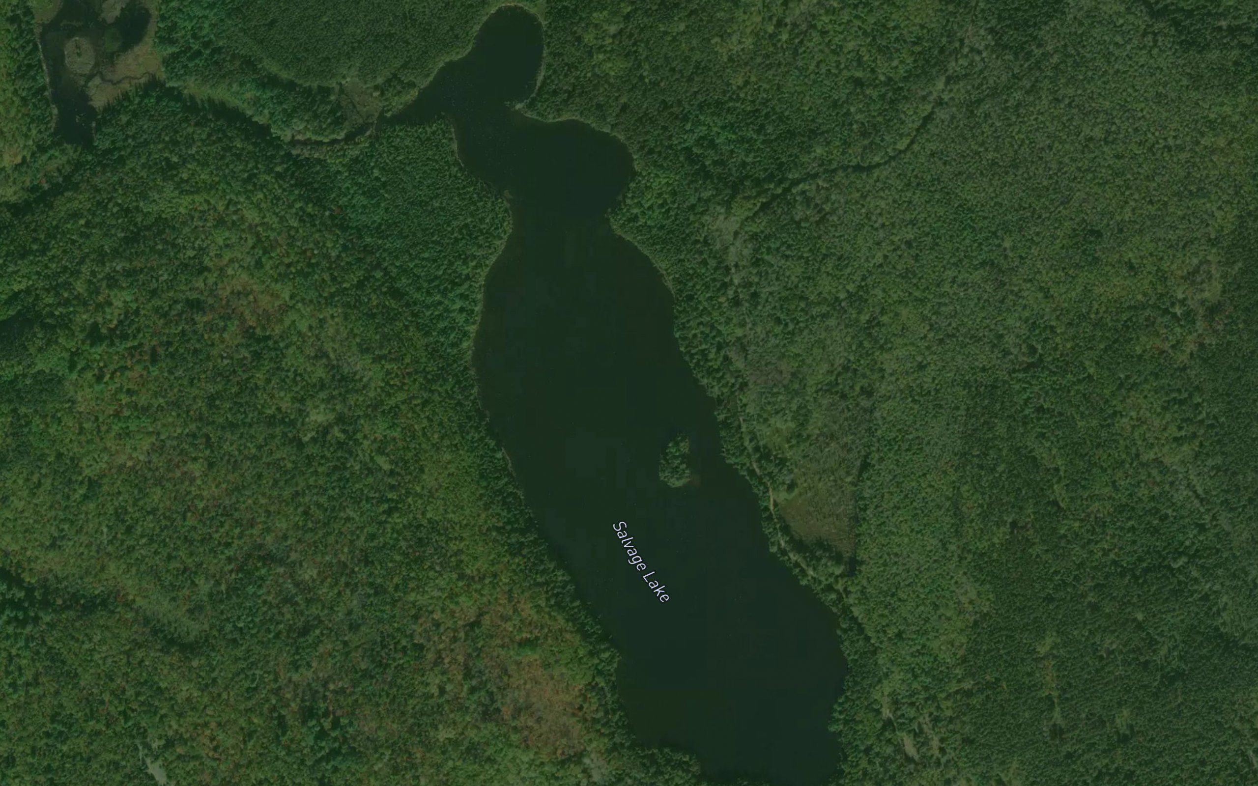 Salvage Lake