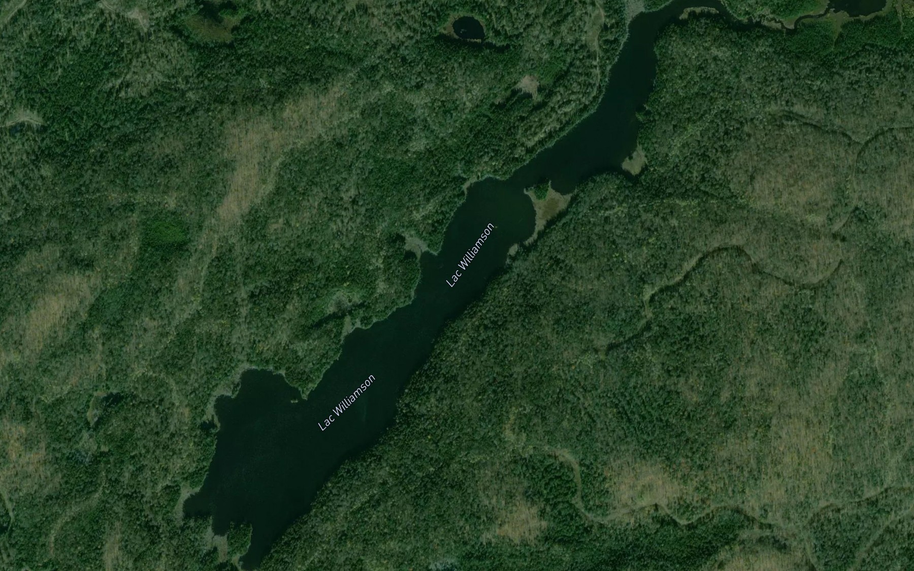 Satellite map of the Lac Williamson