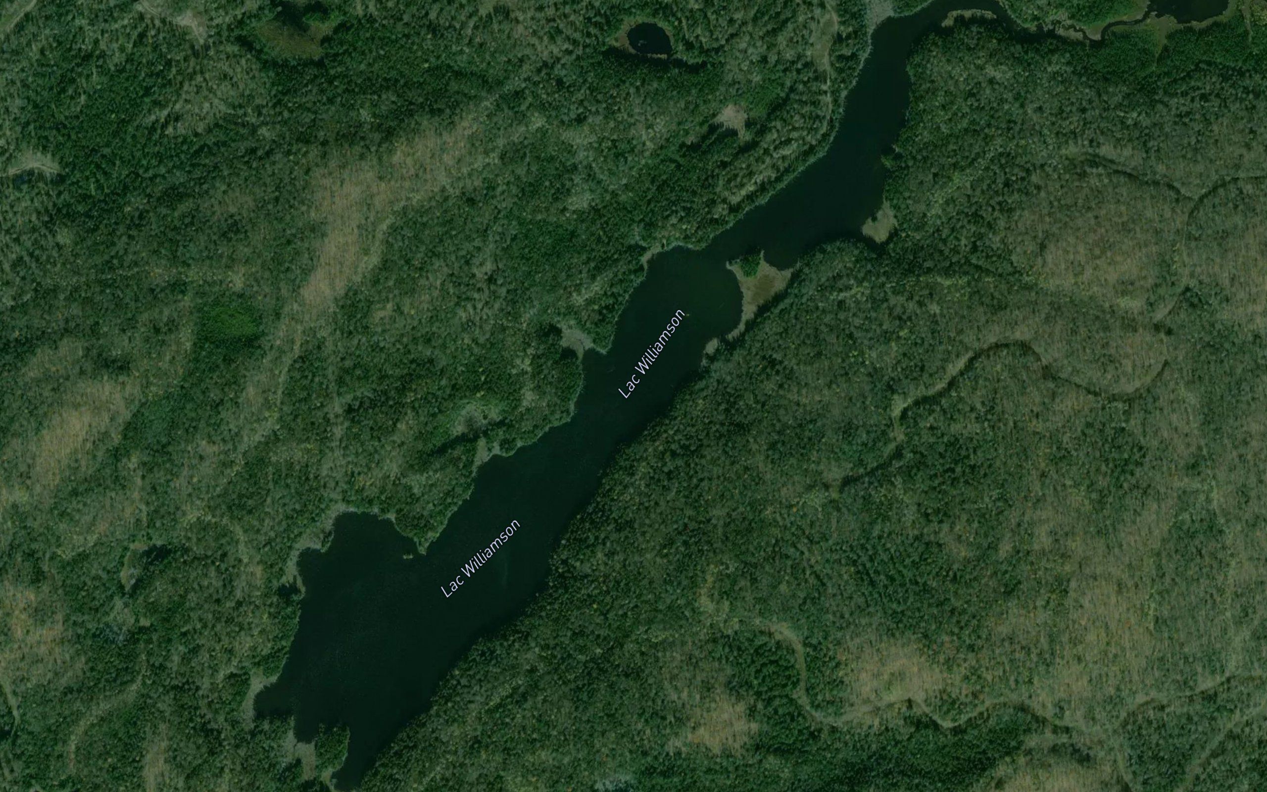 Lac Williamson