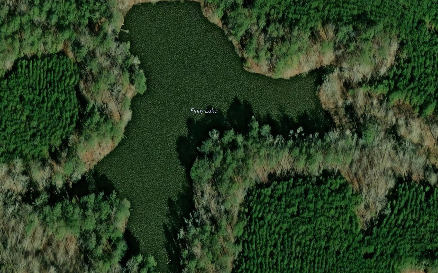 Satellite map of the Finny Lake
