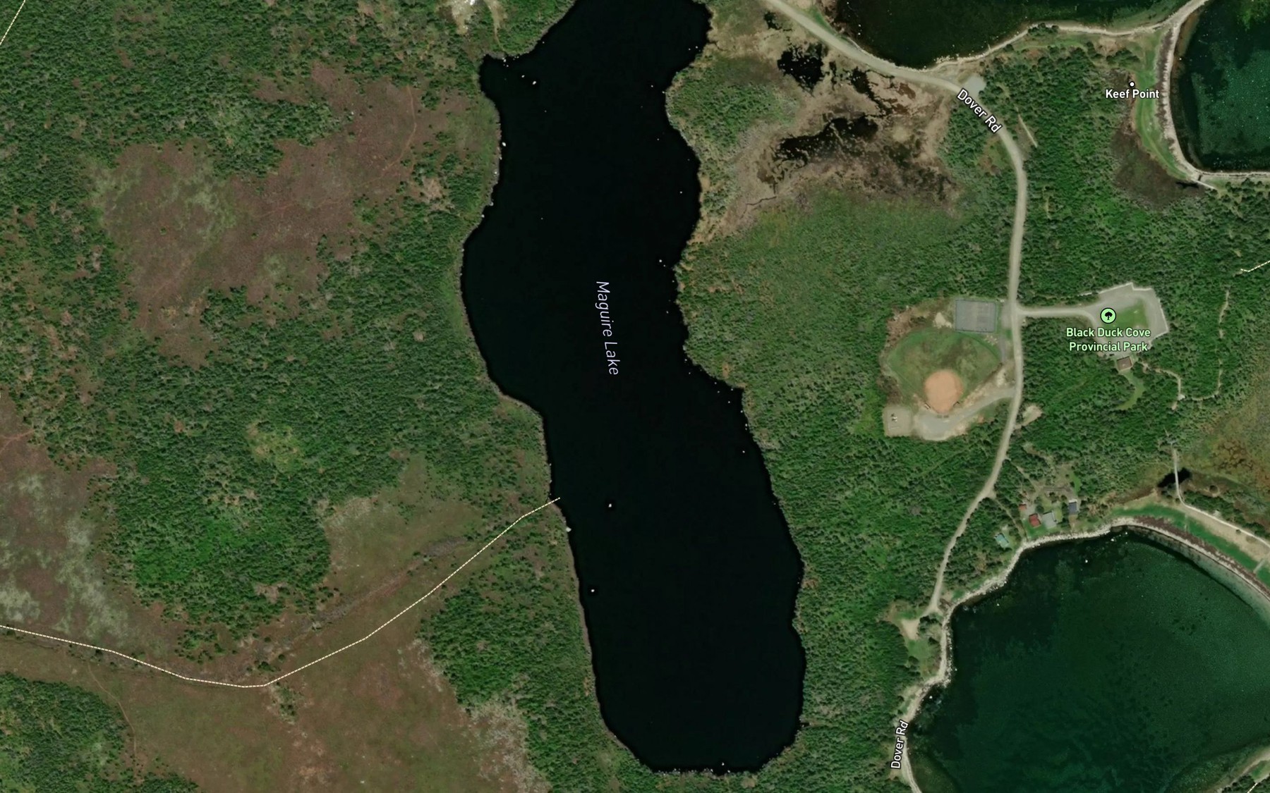Satellite map of the Maguire Lake