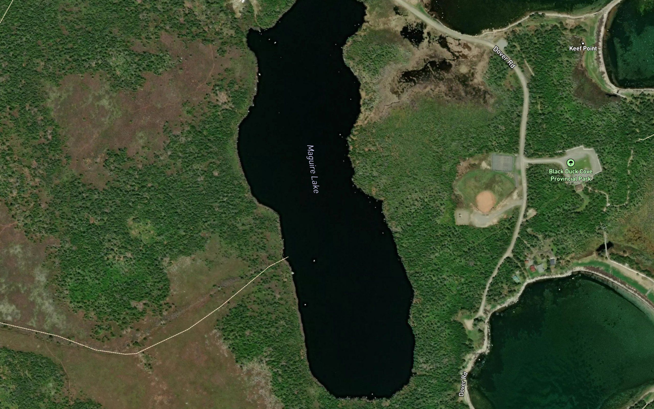 Maguire Lake