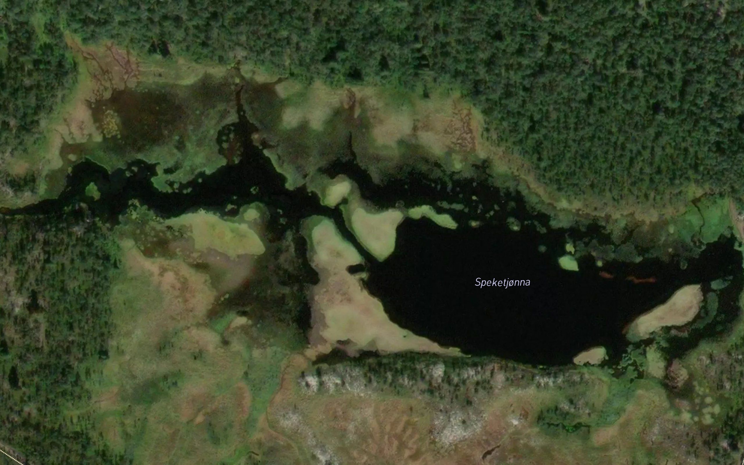 Speketjernet