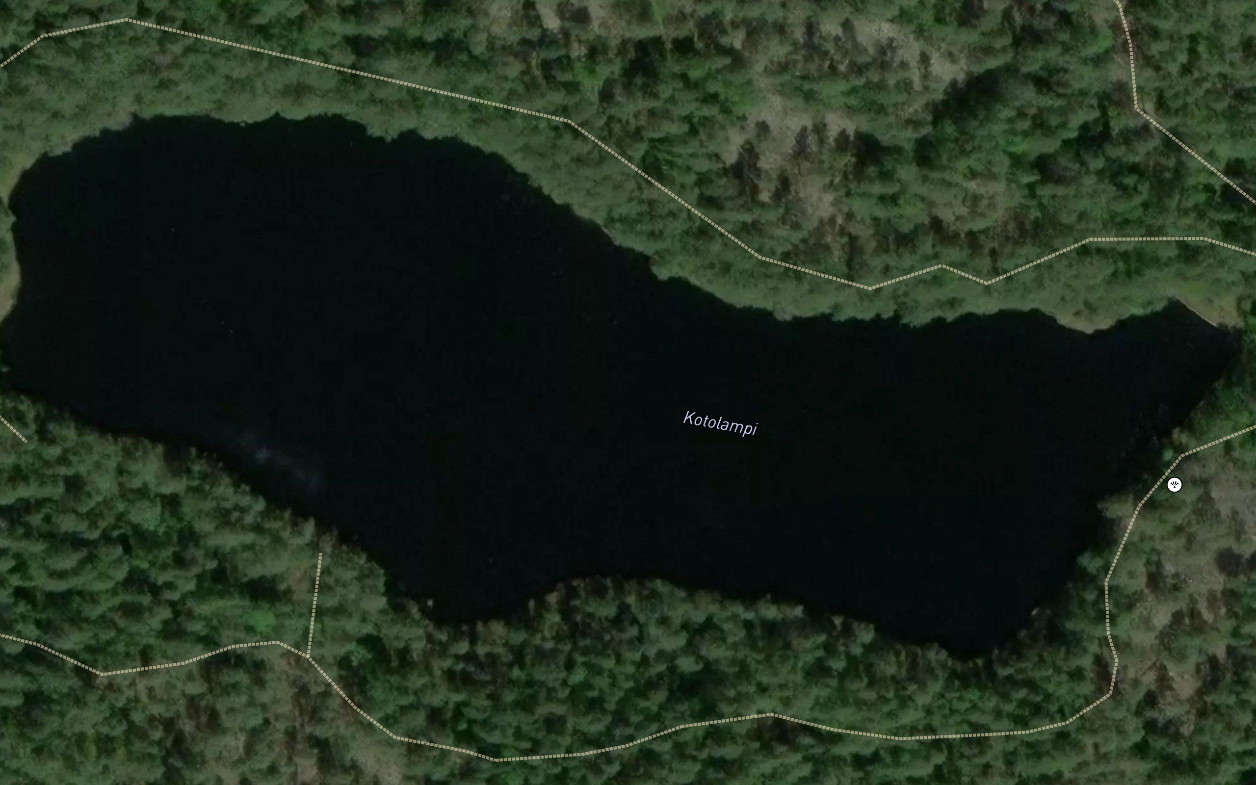Kotolampi