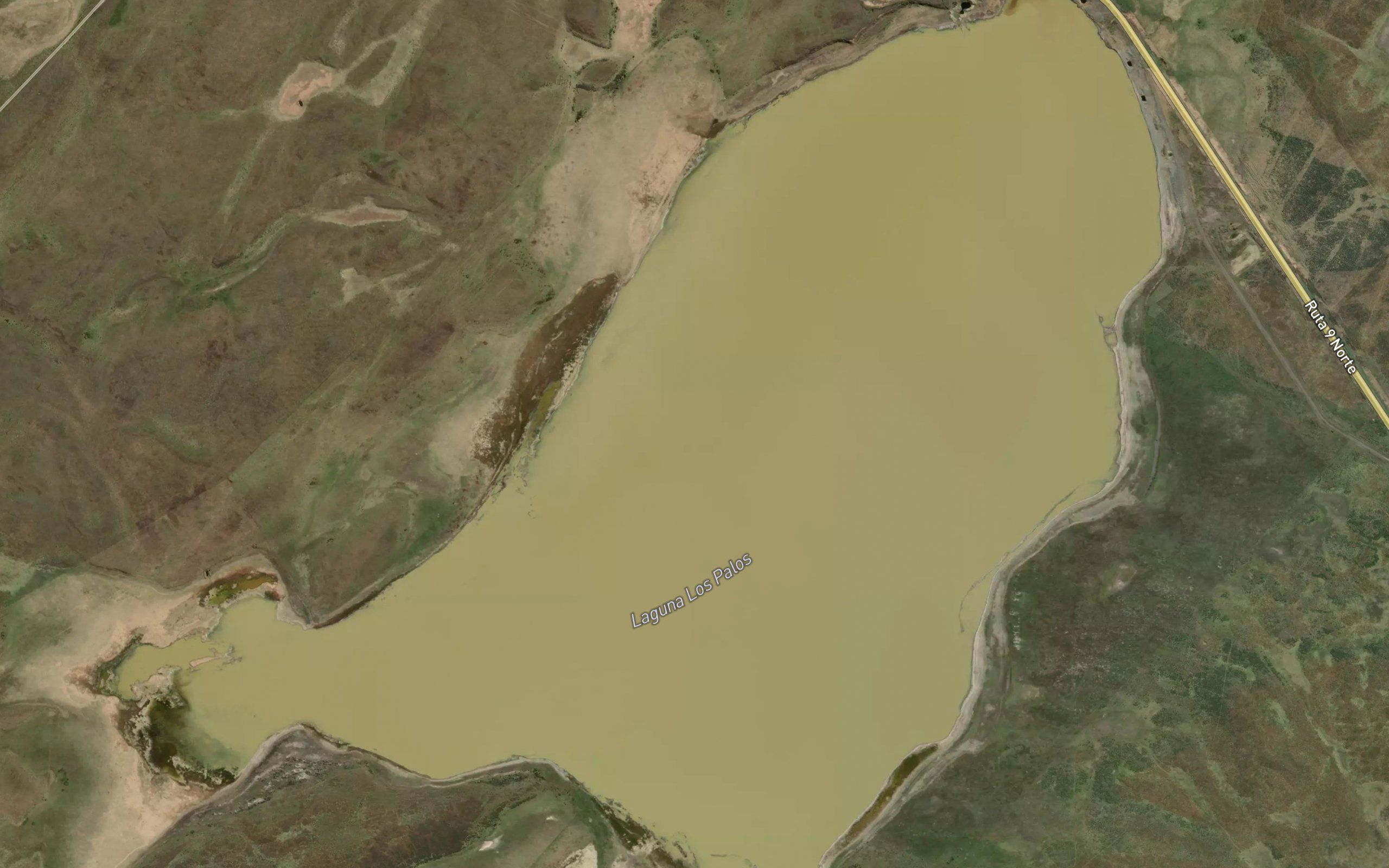 Laguna Los Palos